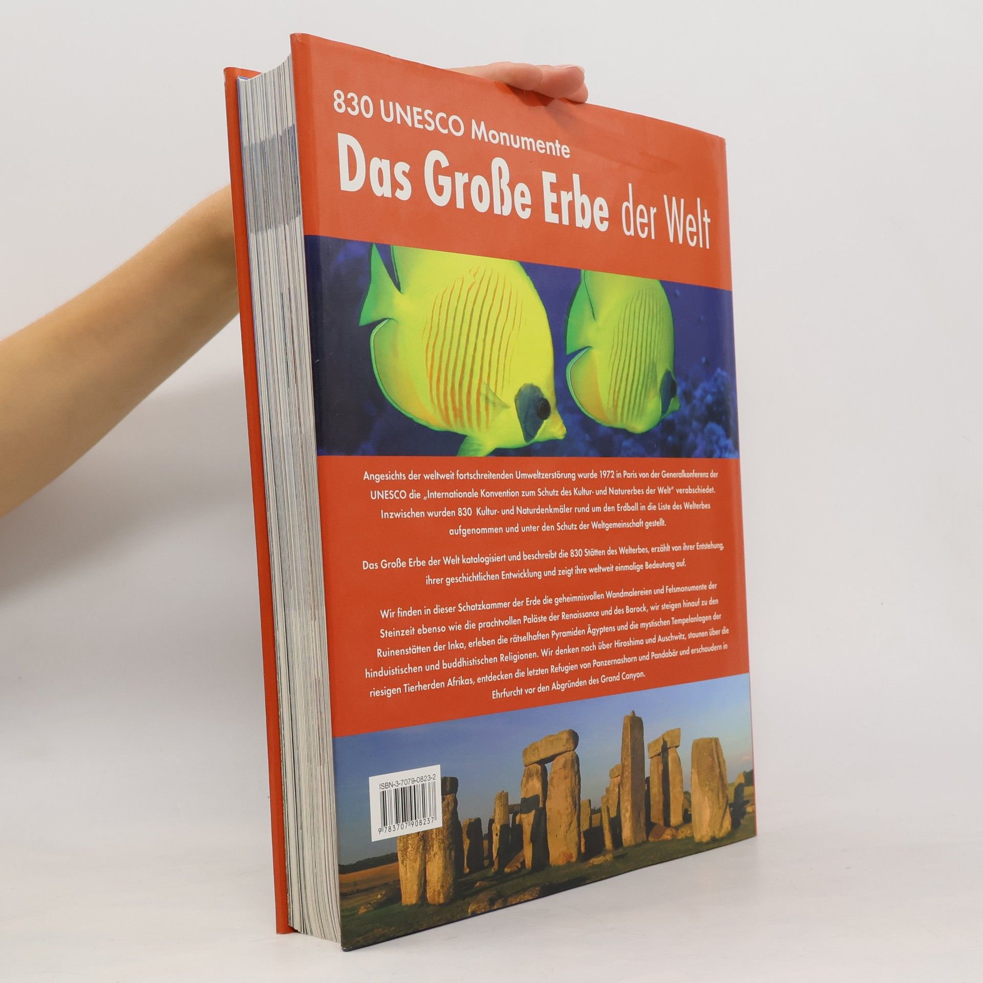 Michael Kaiser Das große Erbe der Welt