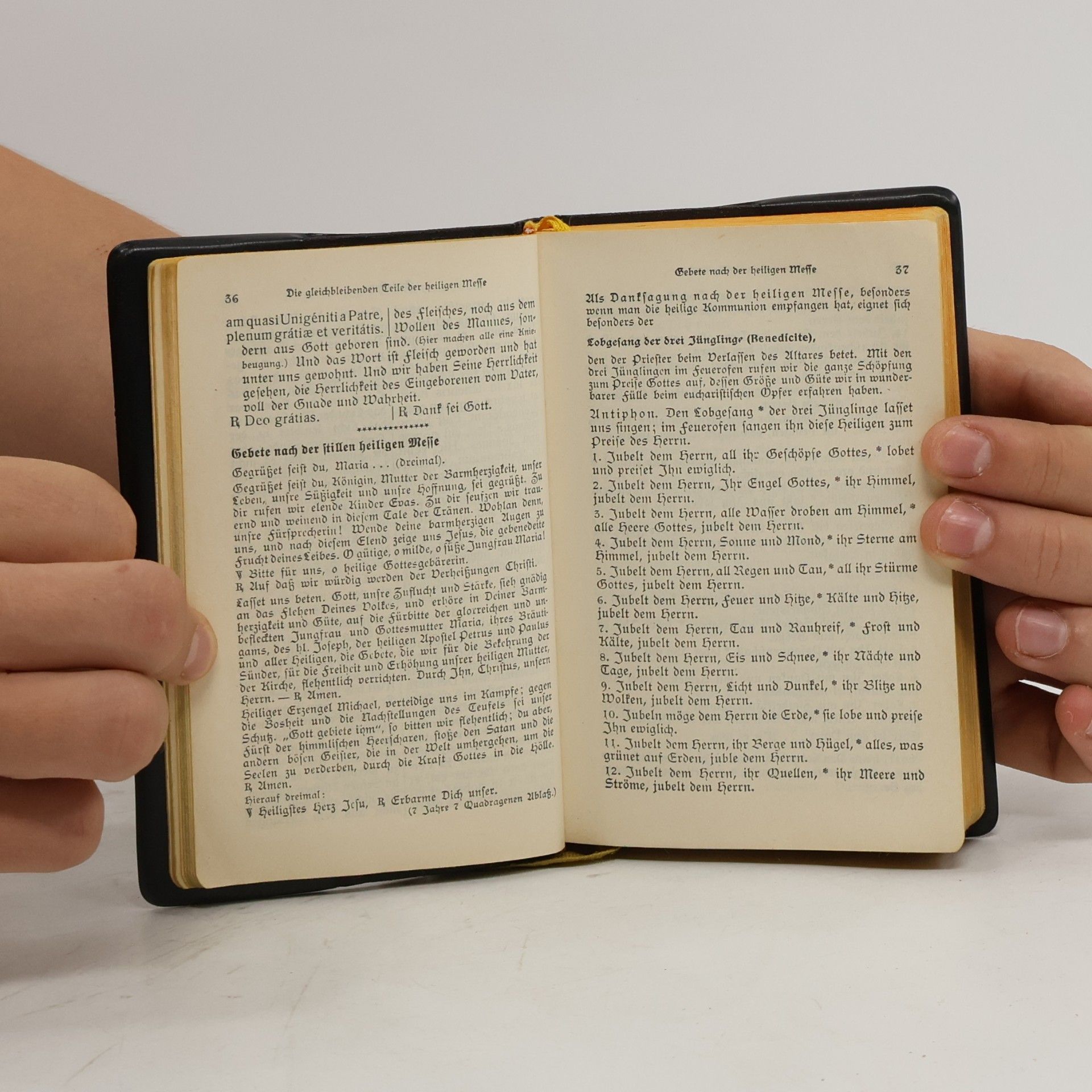 Anselm Schott Volks-Schott – Messbuch für die Sonn- und Feiertage