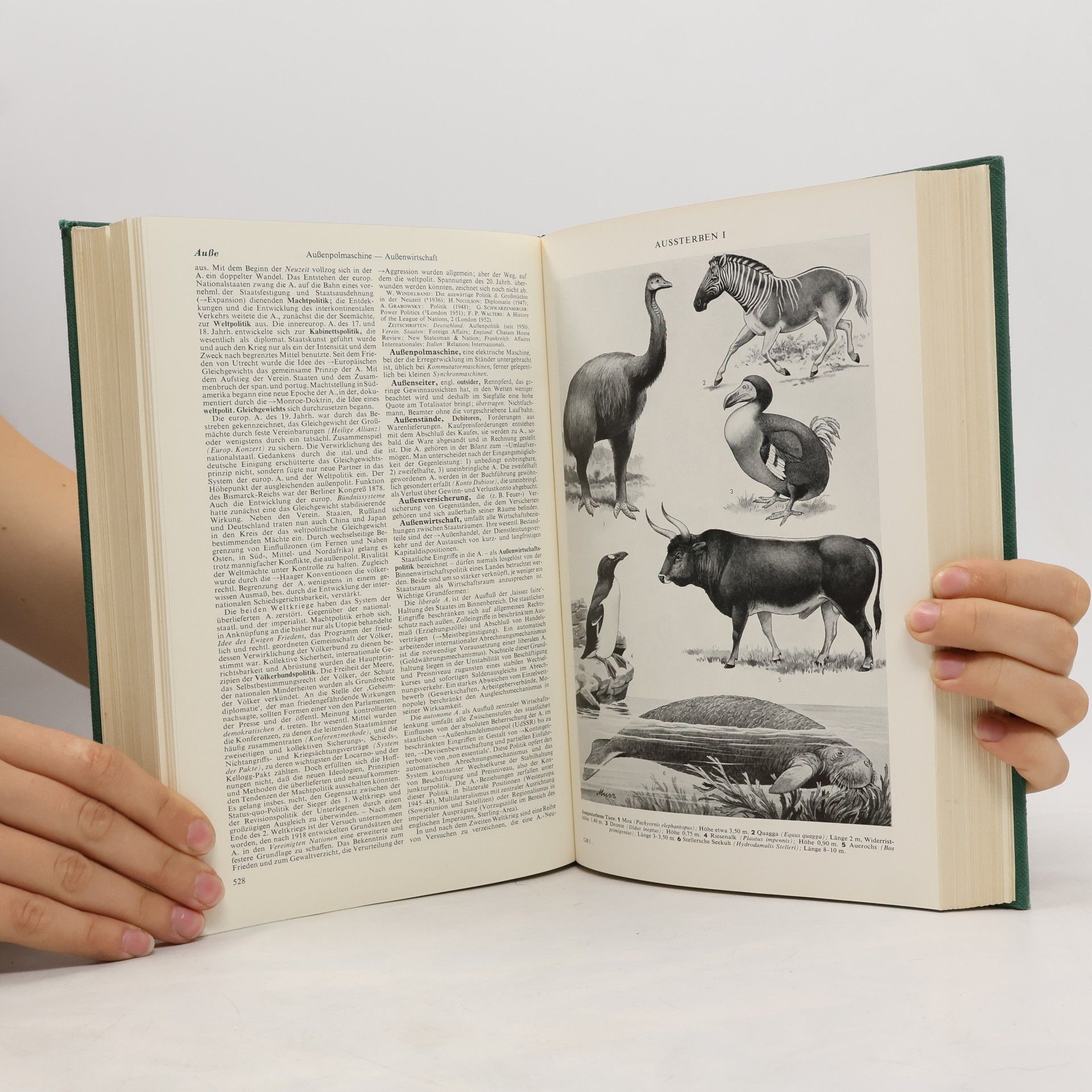 kolektiv Der grosse Brockhaus 1. A-Beo