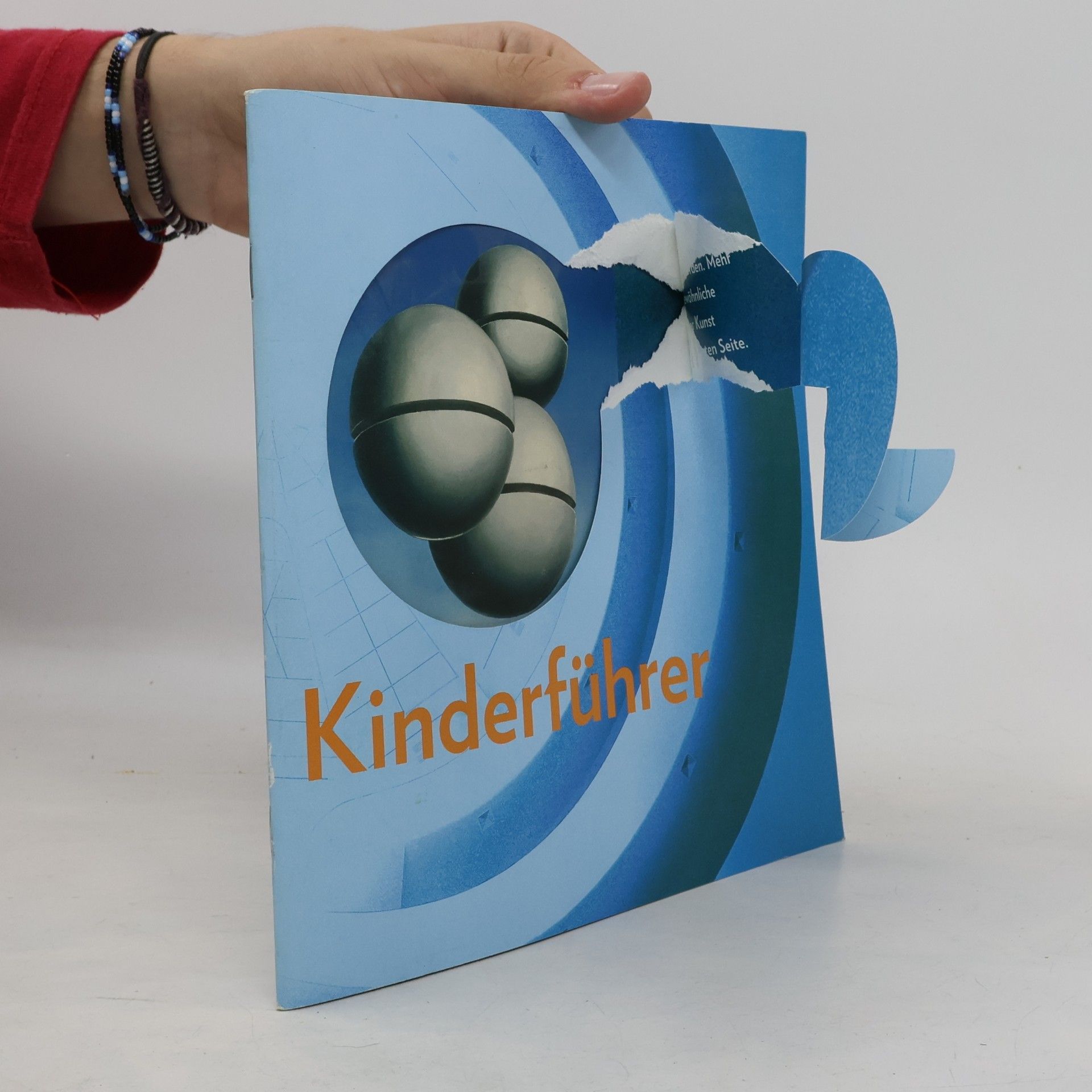 Autorenkollektiv Kinderführer