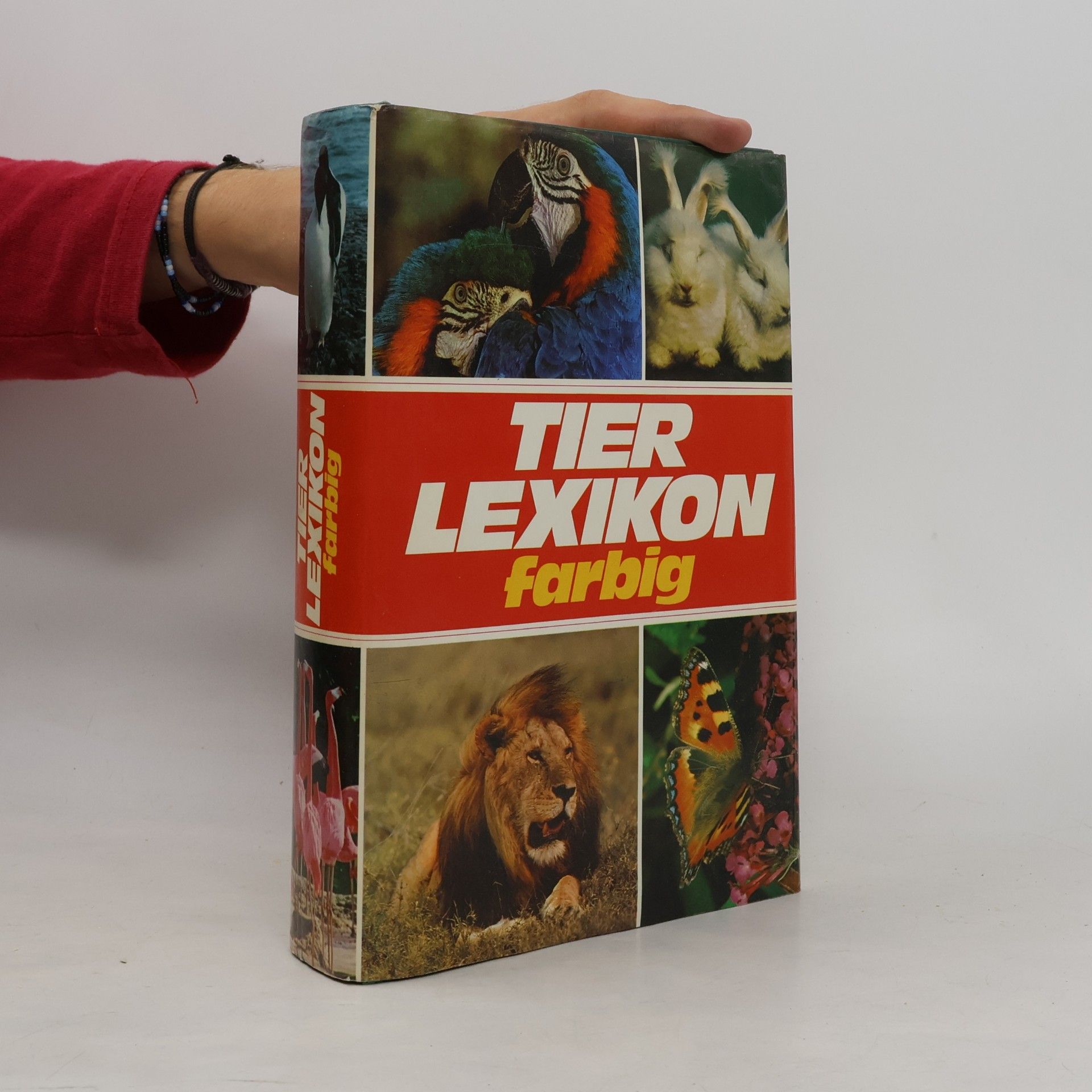 Autorenkollektiv Tier Lexikon Farbig