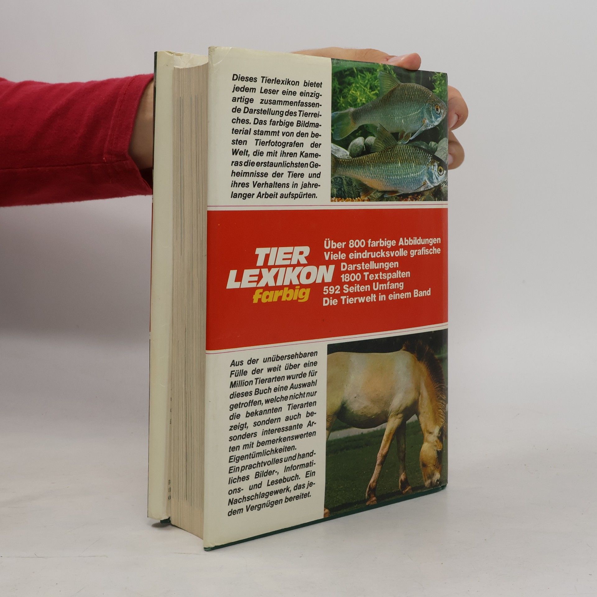 Autores varios Tier Lexikon Farbig