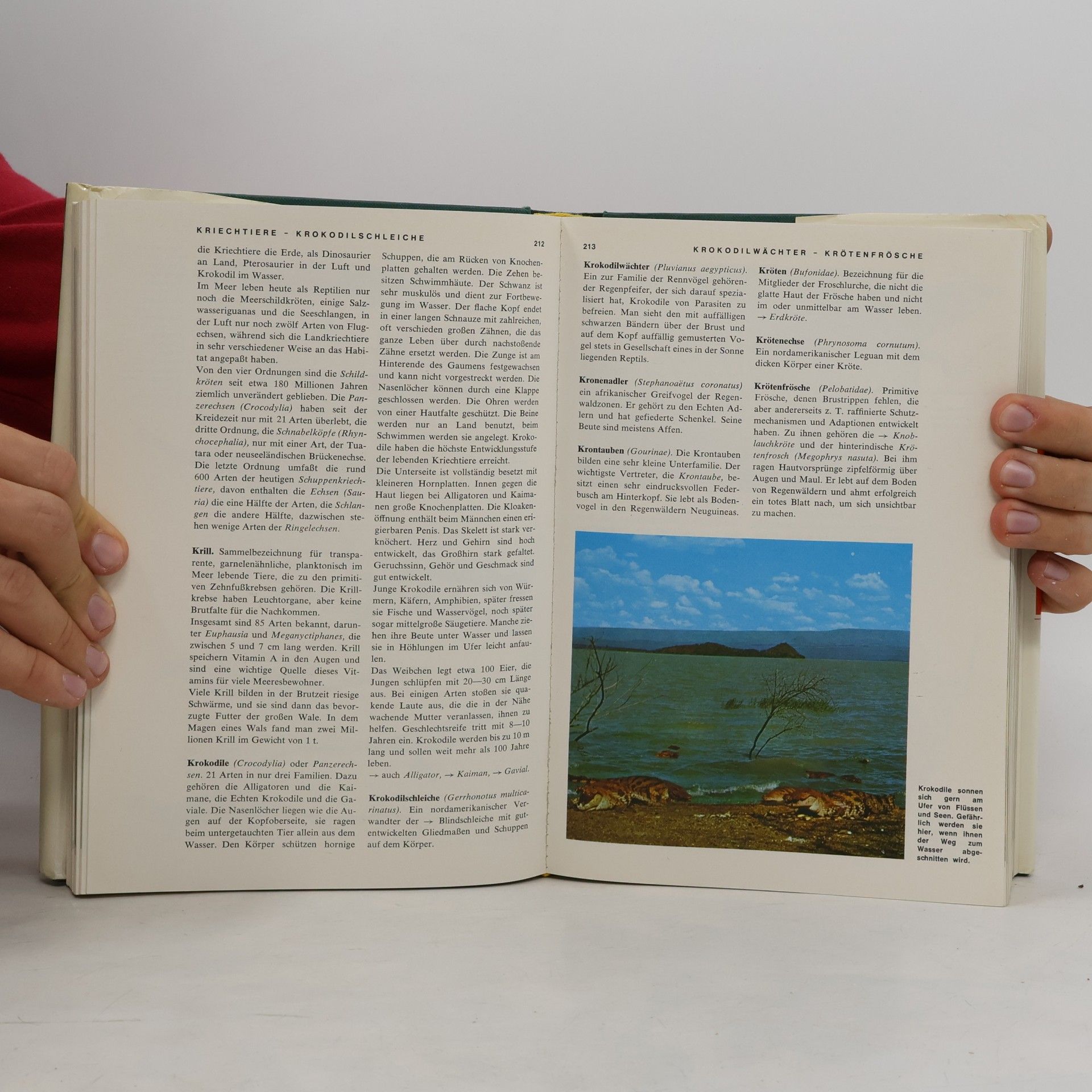 Autores varios Tier Lexikon Farbig