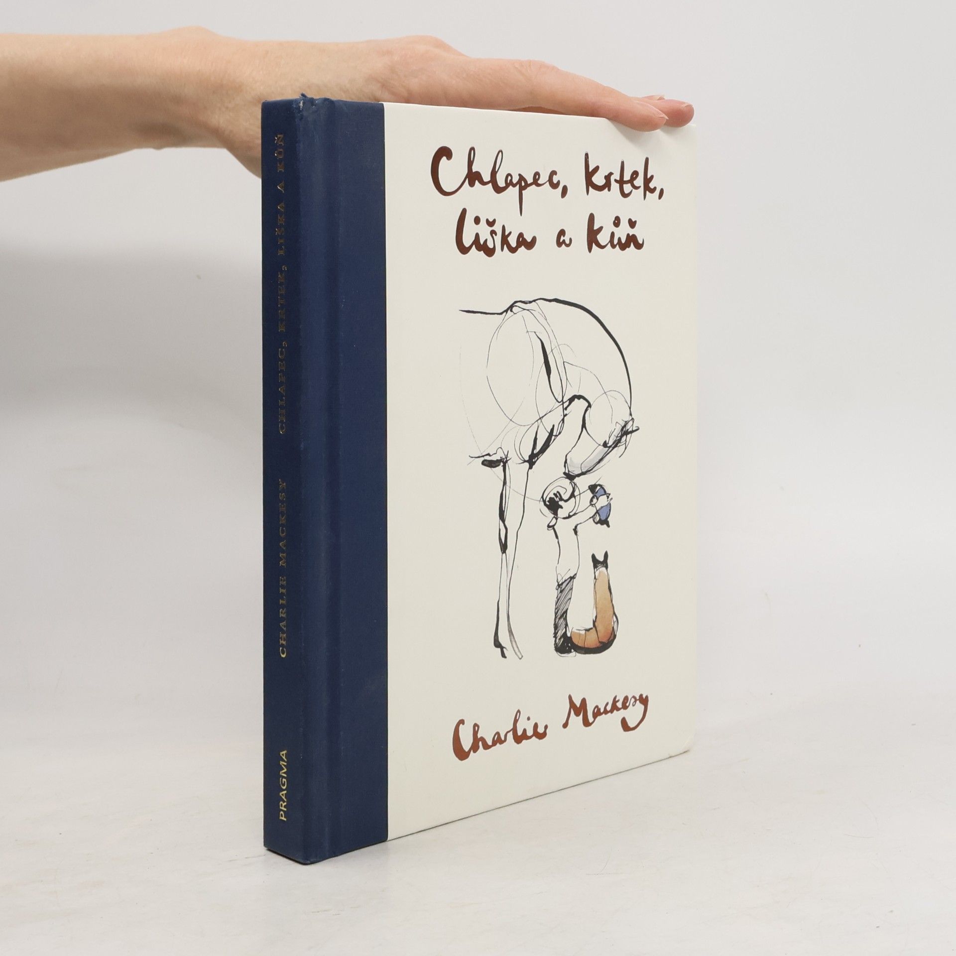 Charlie Mackesy Chlapec, krtek, liška a kůň