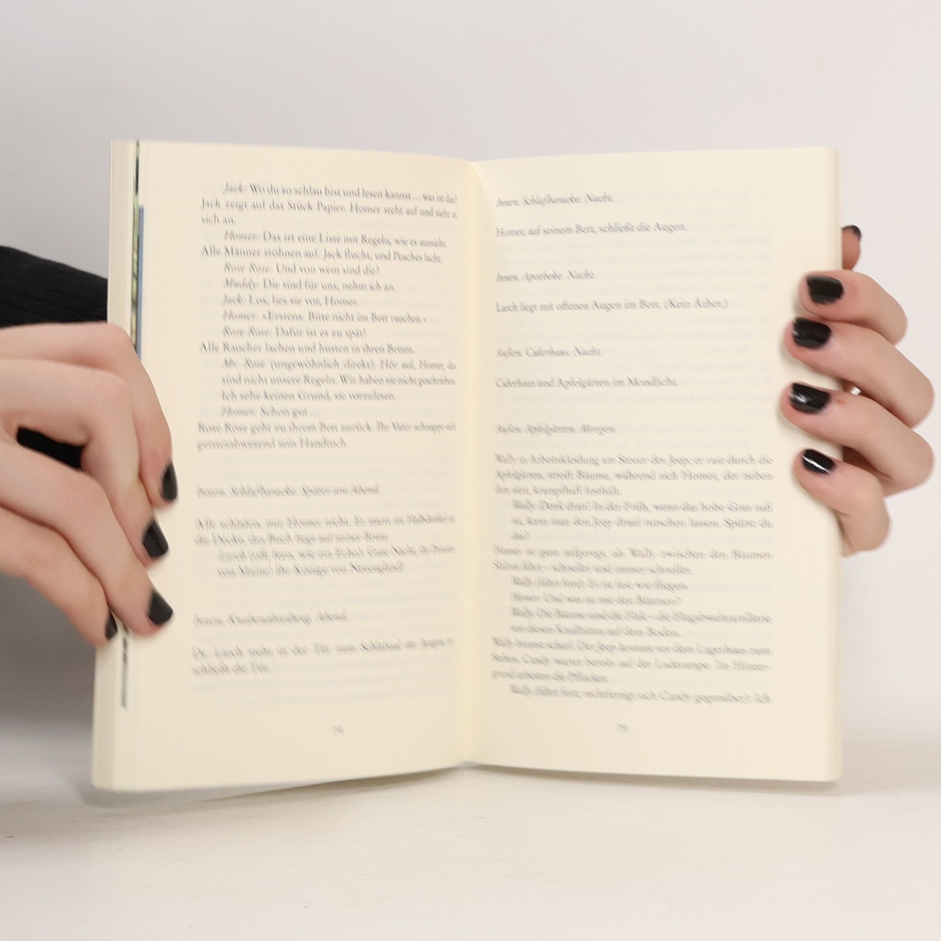 John Irving Gottes Werk und Teufels Beitrag