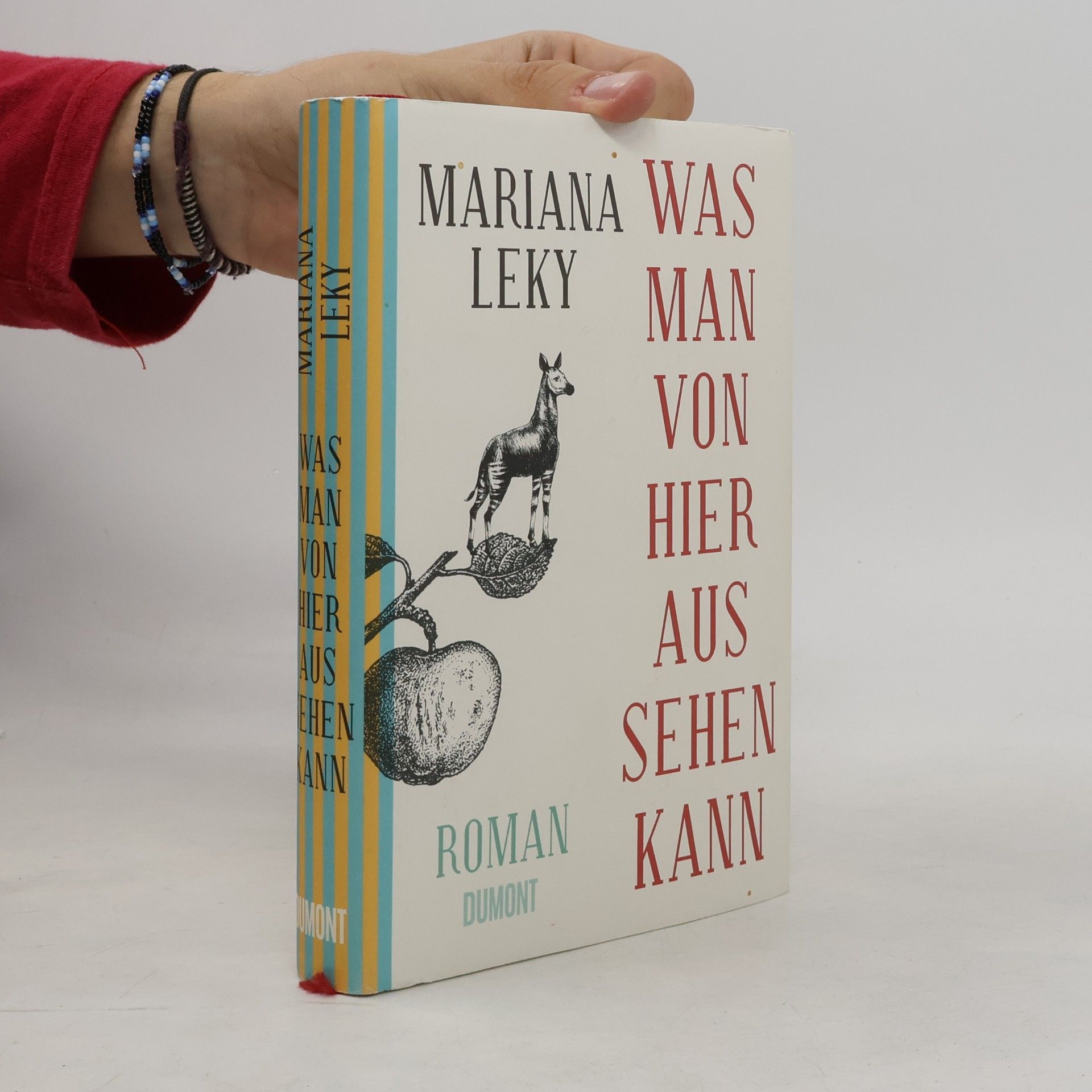 Mariana Leky Was man von hier aus sehen kann