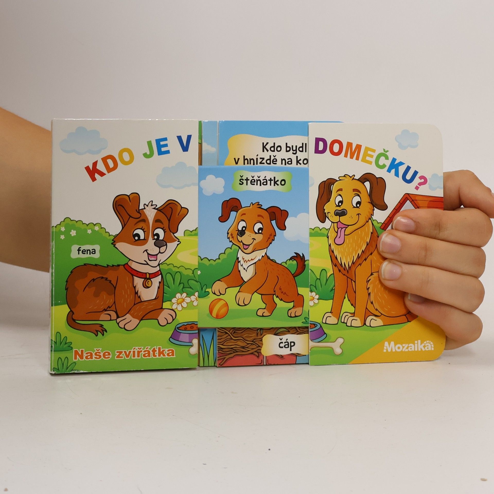 Klára Víšková Kdo je v domečku?