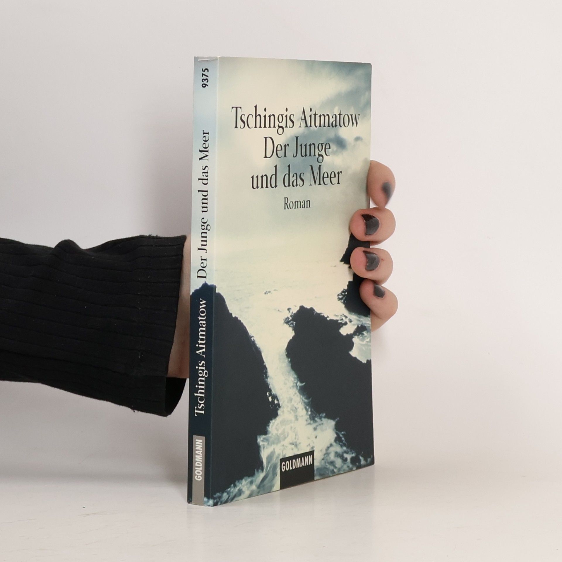 Čingiz Ajtmatov Der Junge und das Meer