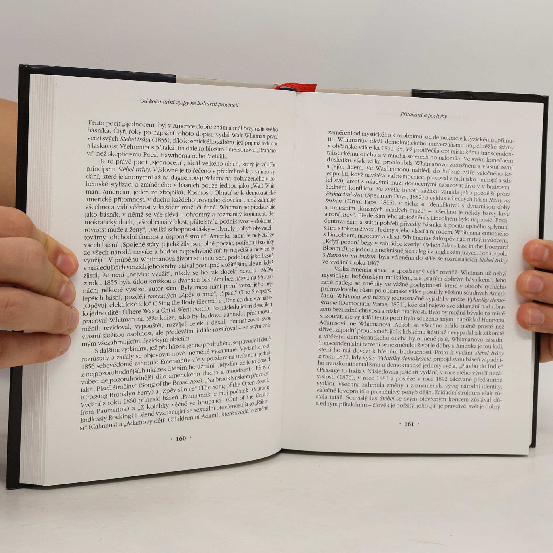 Richard Ruland Od puritanismu k postmodernismu : dějiny americké literatury