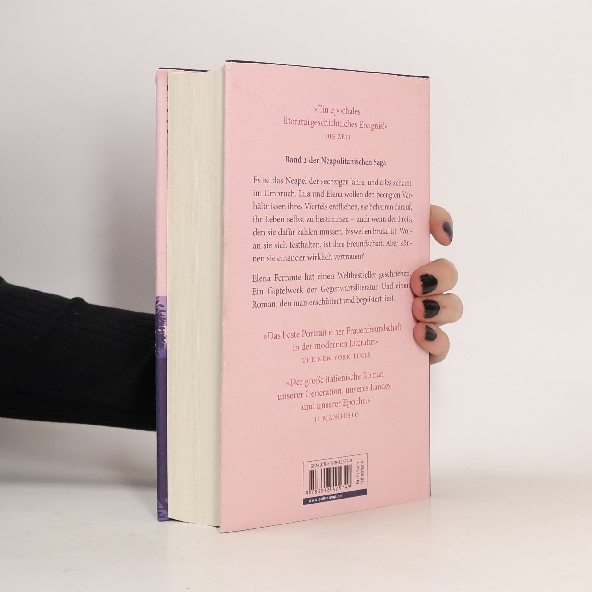 Elena Ferrante Die Geschichte eines neuen Namens: Jugendjahre