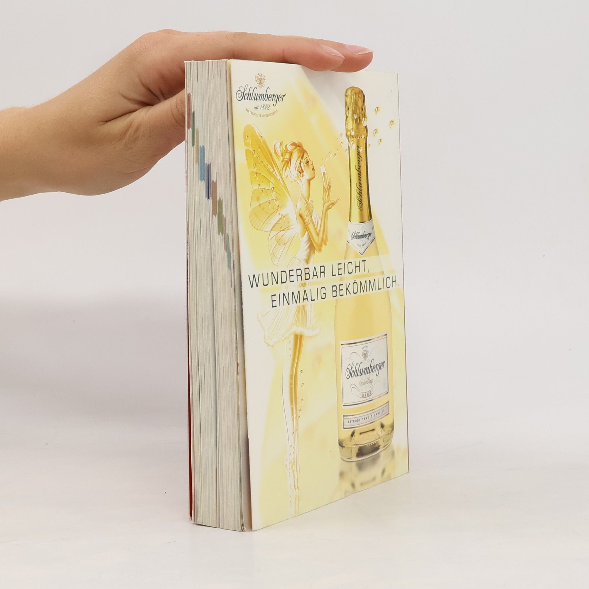 Autorenkollektiv Kulinarisches Österreich 2008