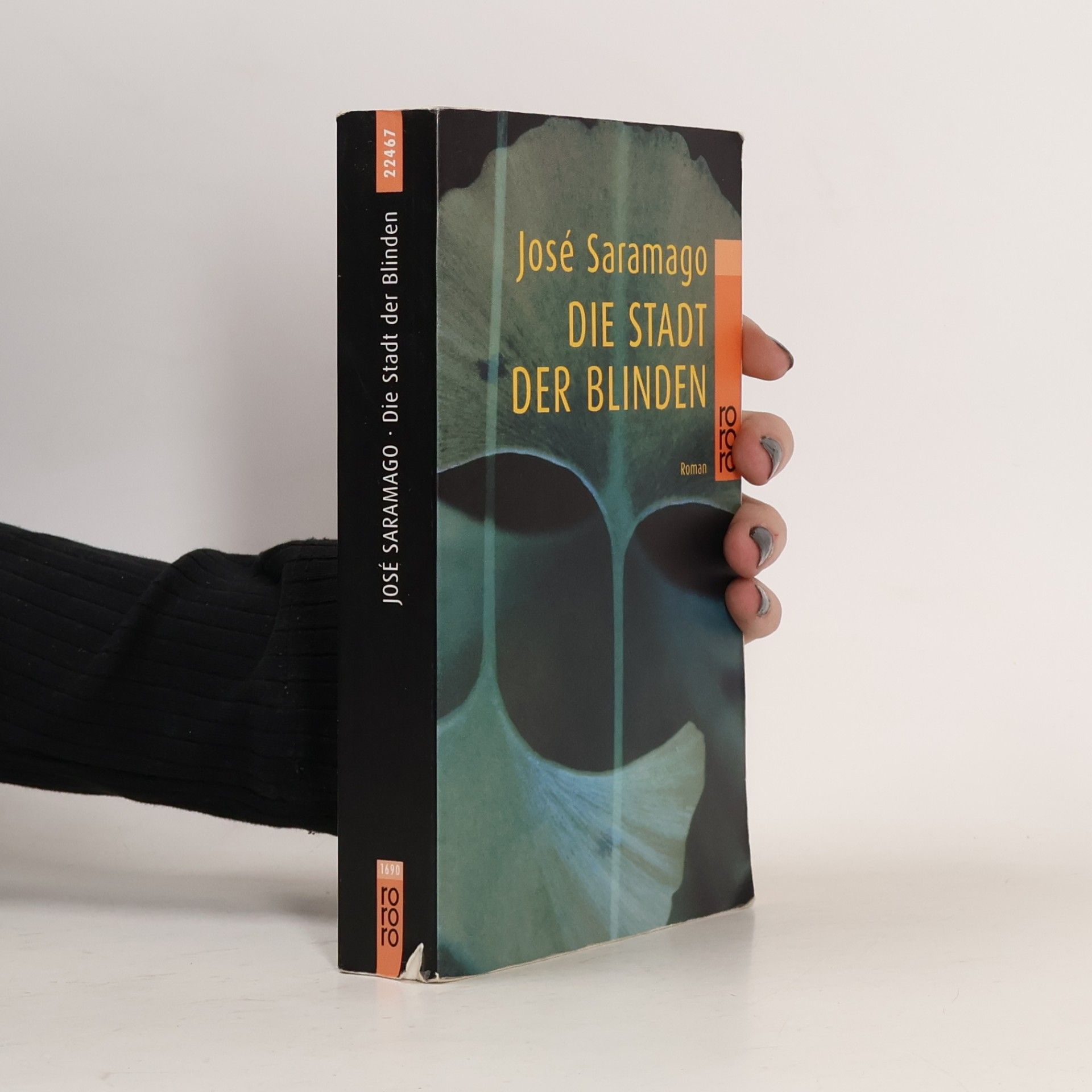 José Saramago Die Stadt der Blinden