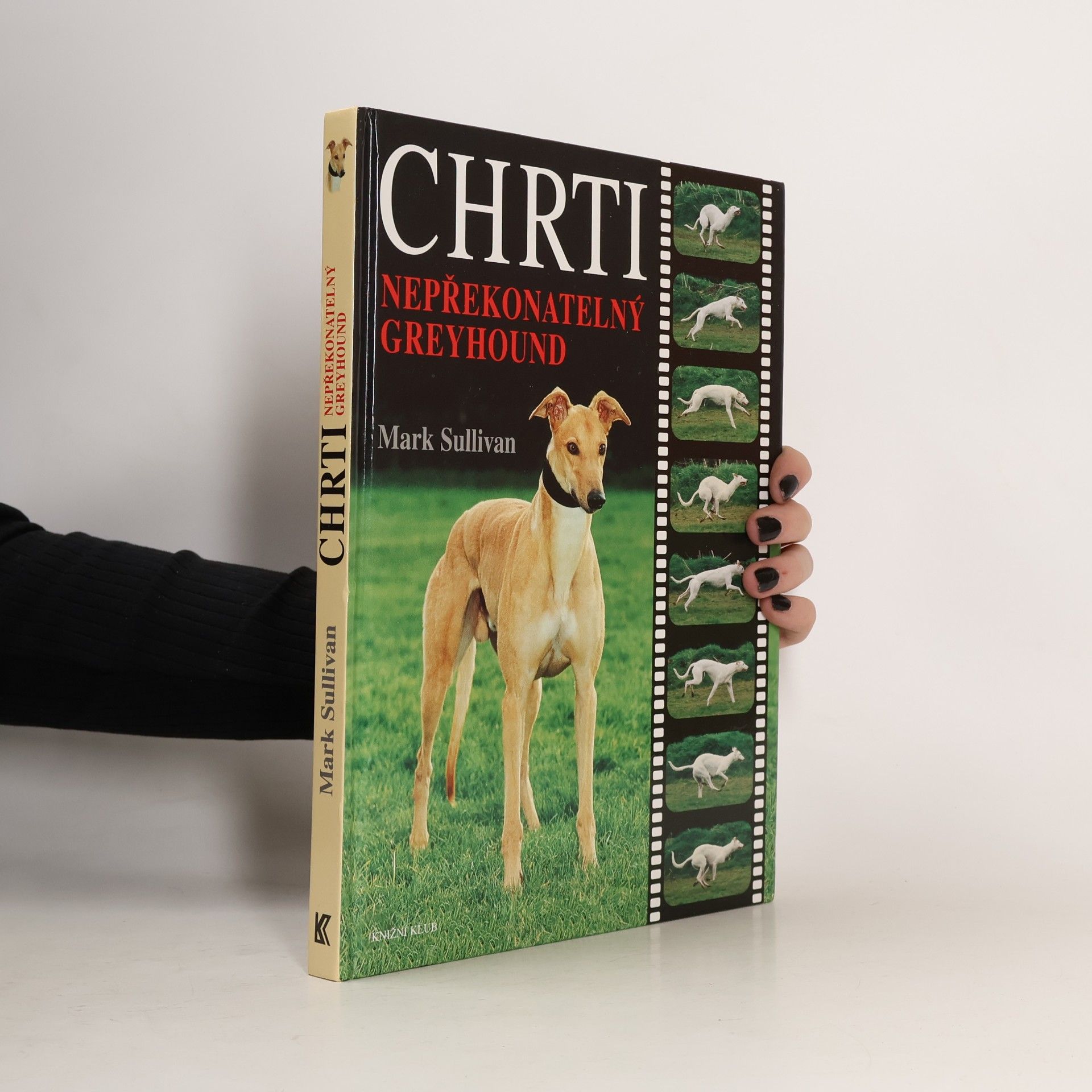 Chrti - Nepřekonatelný Greyhound