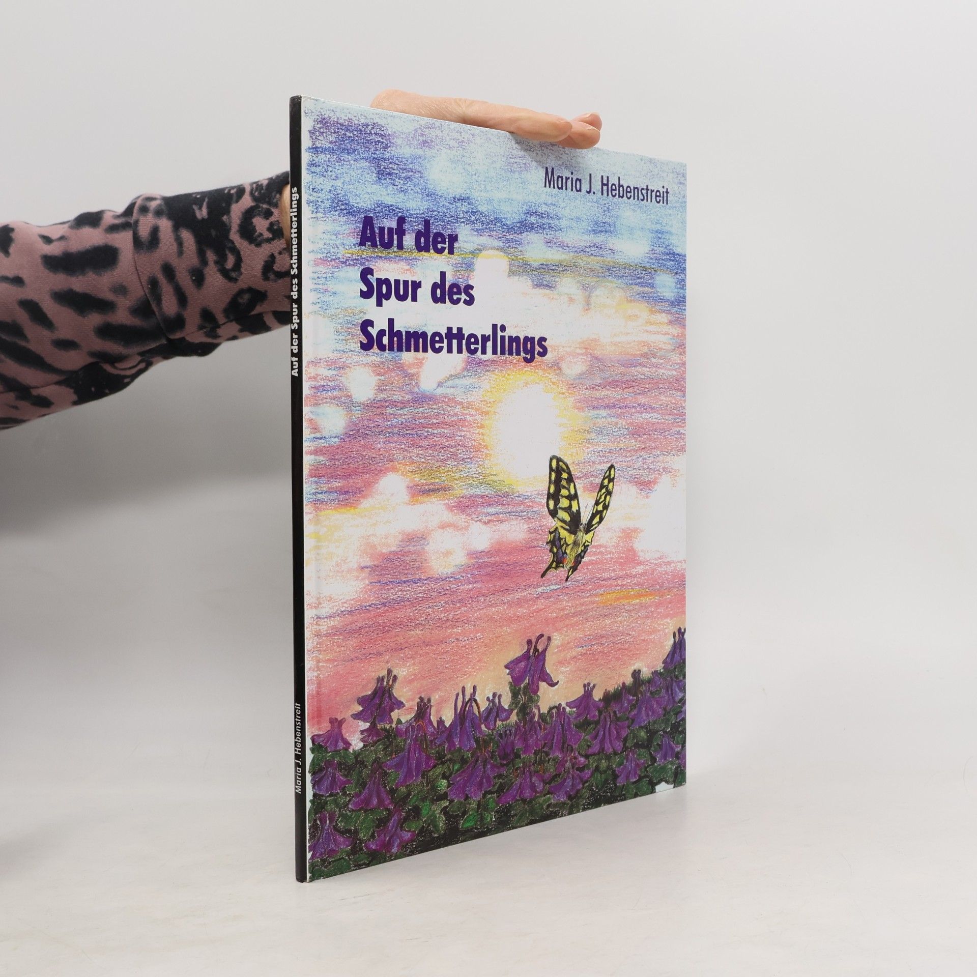 Maria J. Hebenstreit Auf der Spur des Schmetterlings