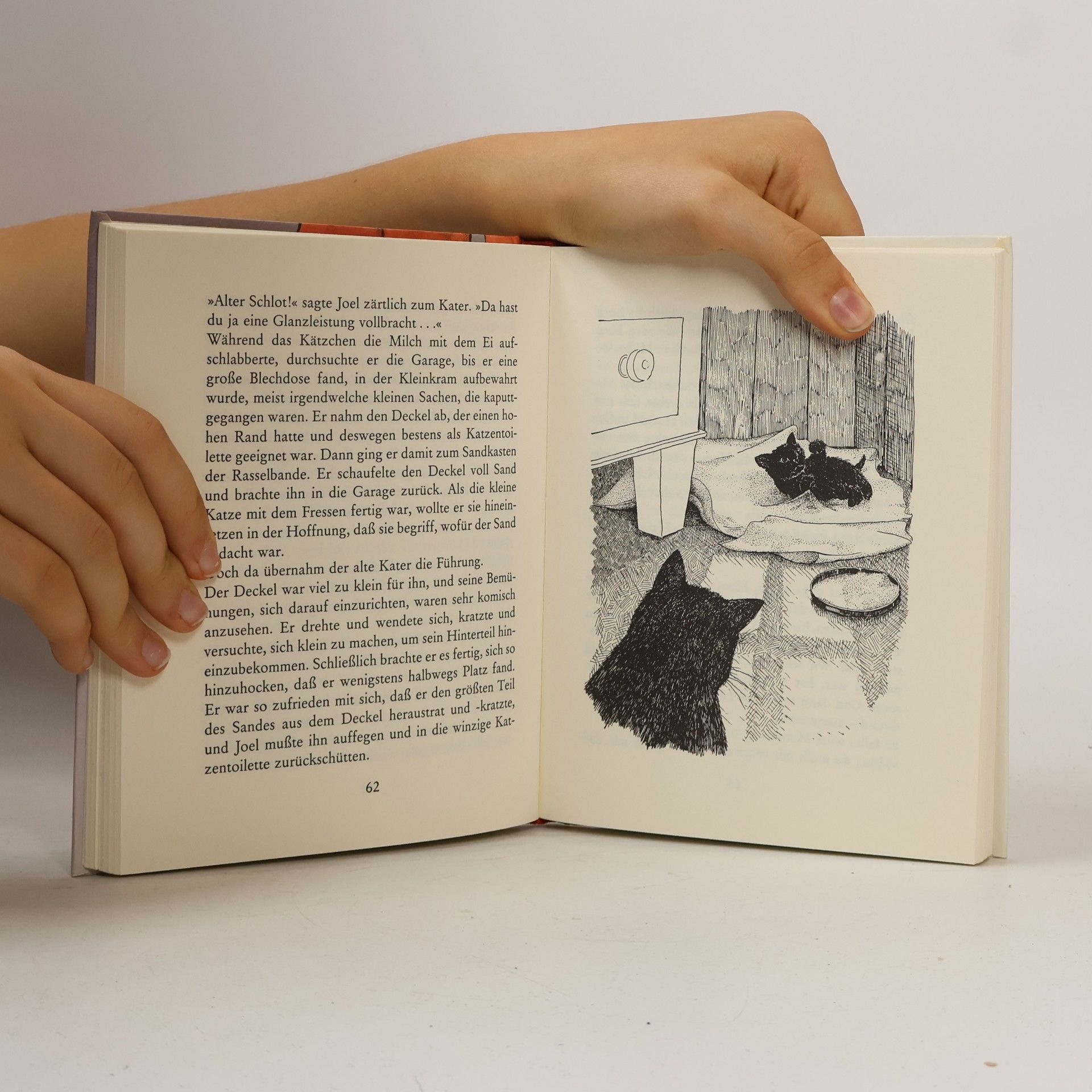 Mary E. Little Der Junge und der Alte Kater