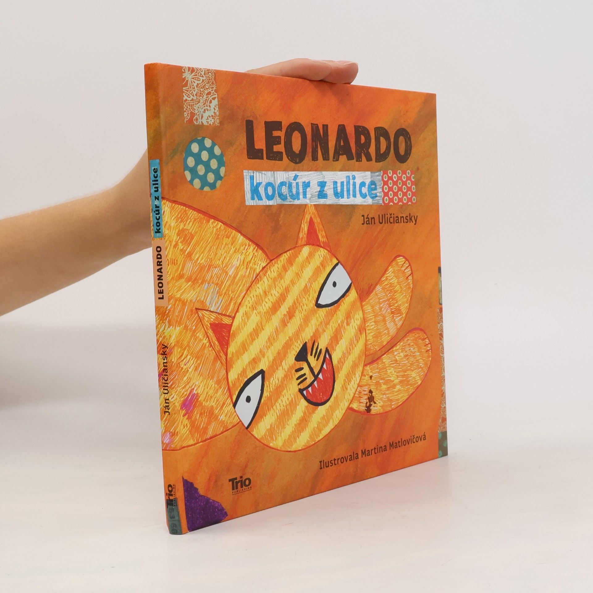 Ján Uličiansky Leonardo, kocúr z ulice