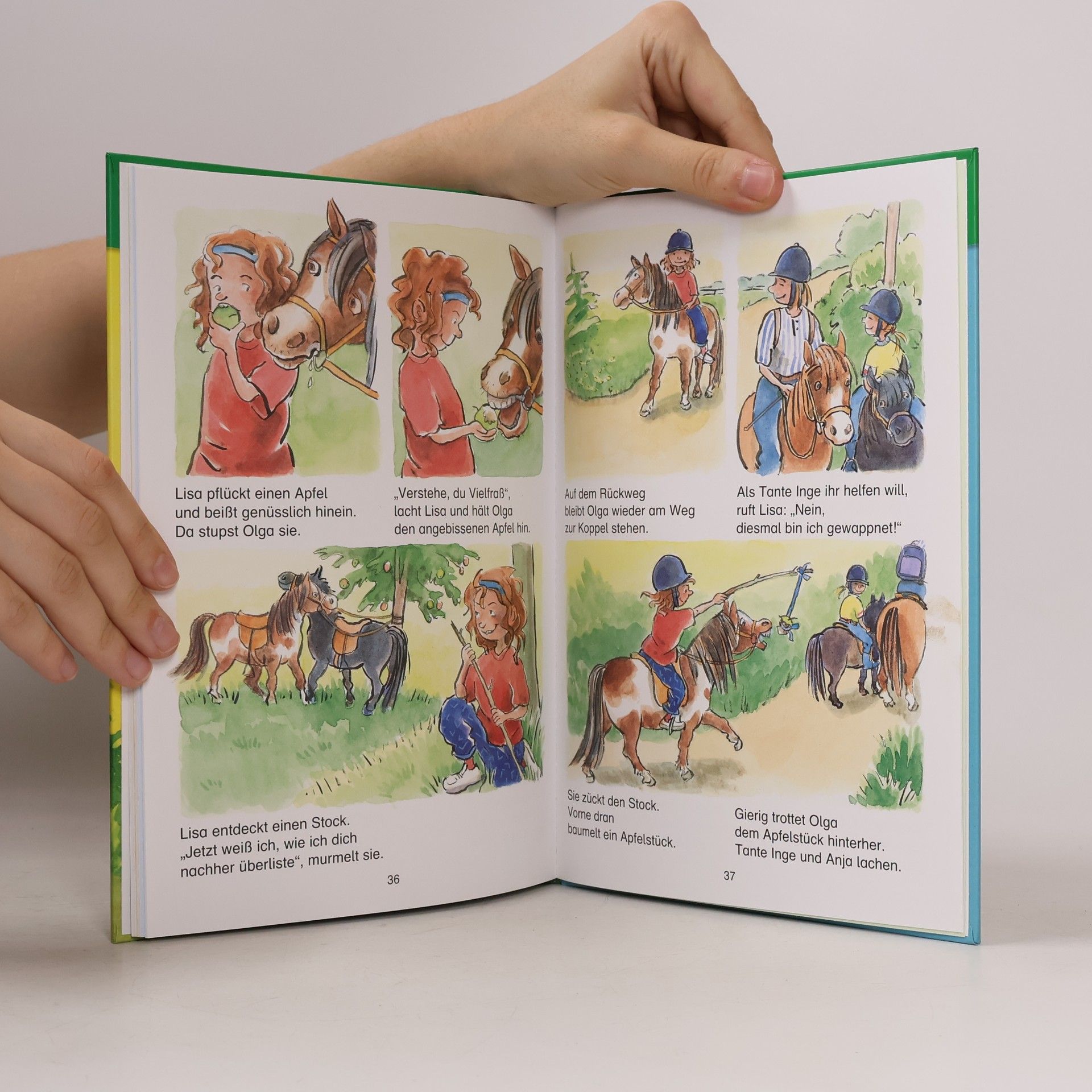 Claudia Ondracek Ein Pony für Lisa