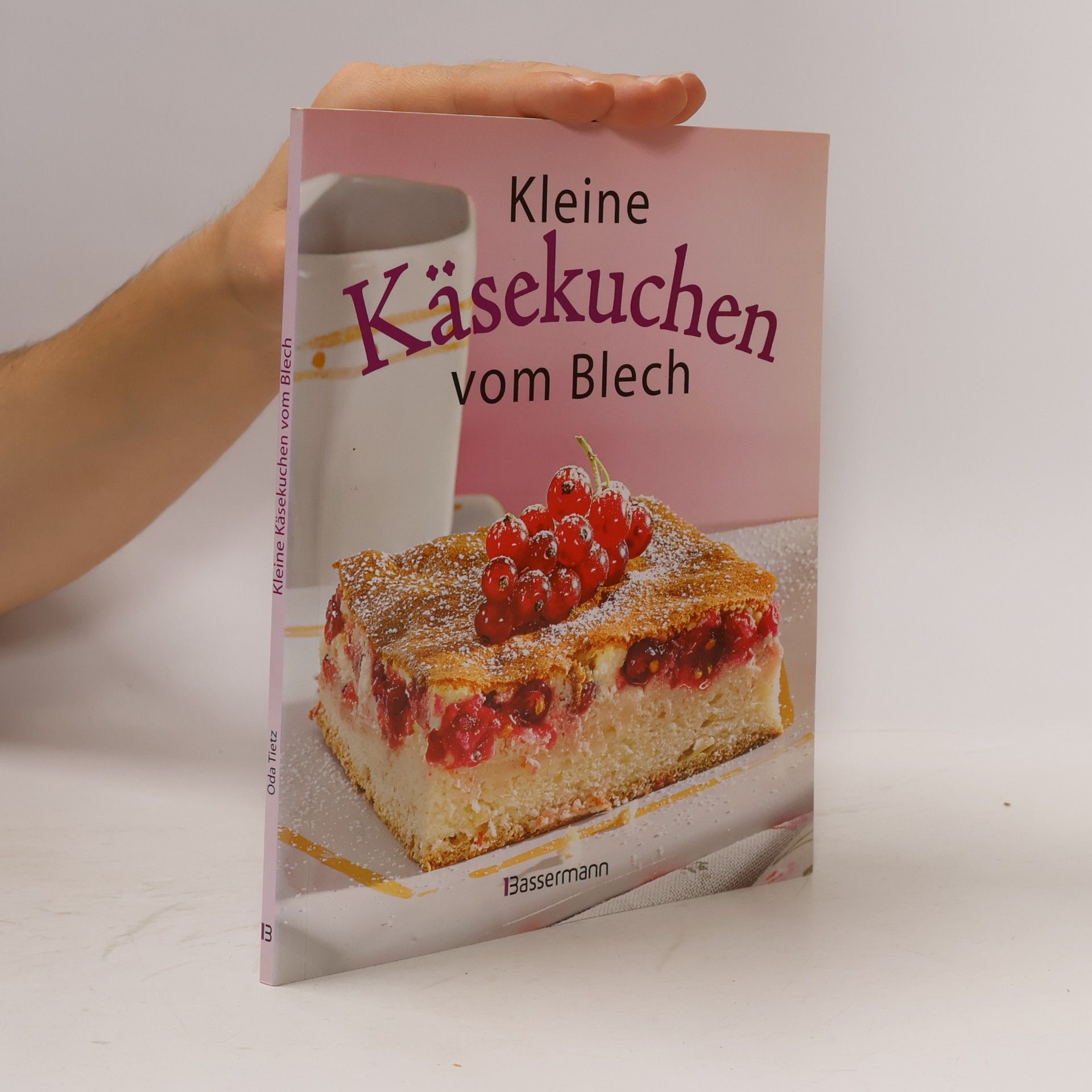 Oda Tietz Kleine Käsekuchen vom Blech