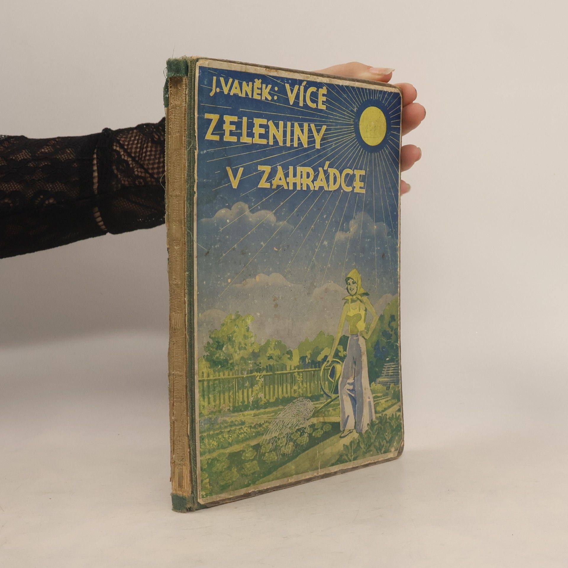 Josef Vaněk Více zeleniny v zahrádce