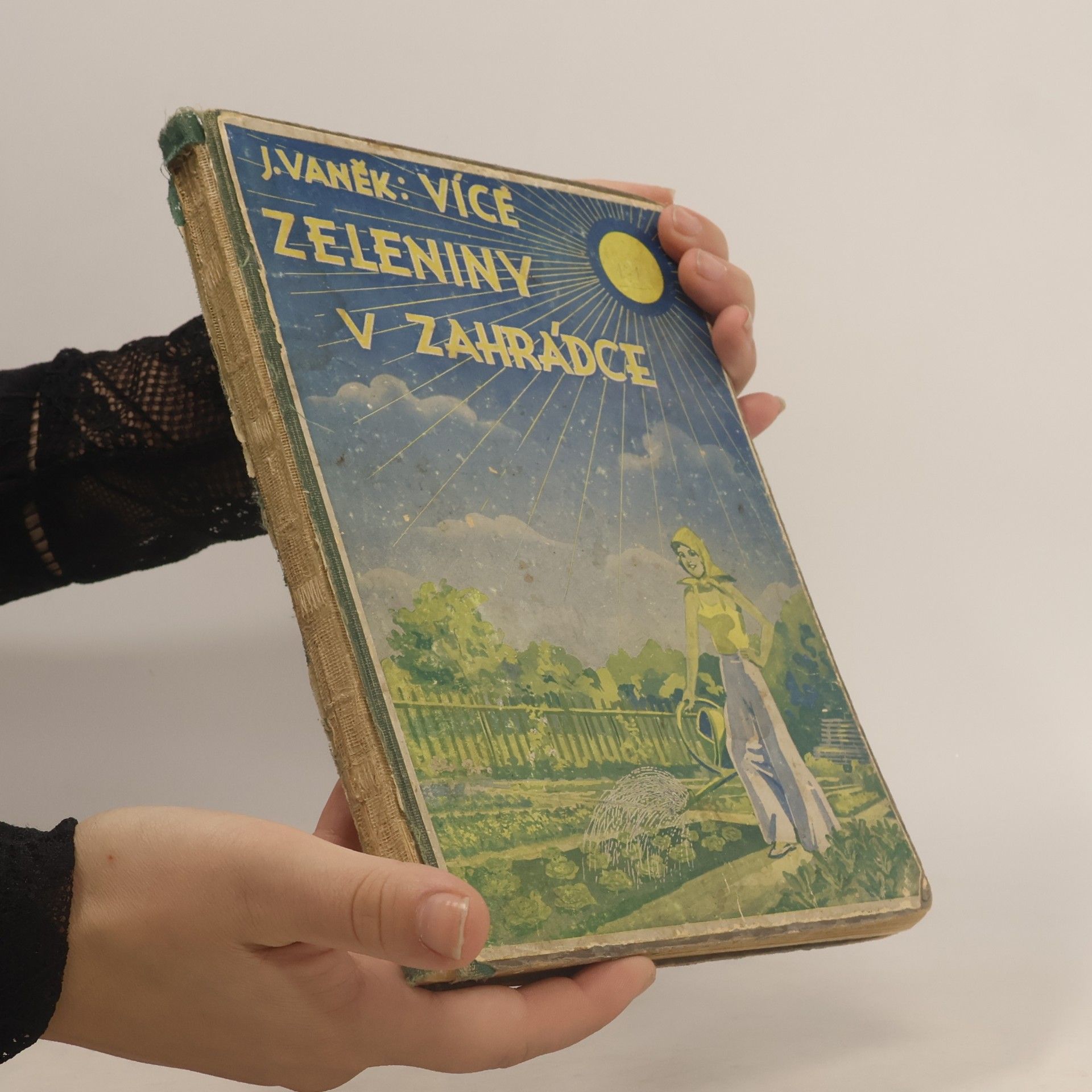 Josef Vaněk Více zeleniny v zahrádce