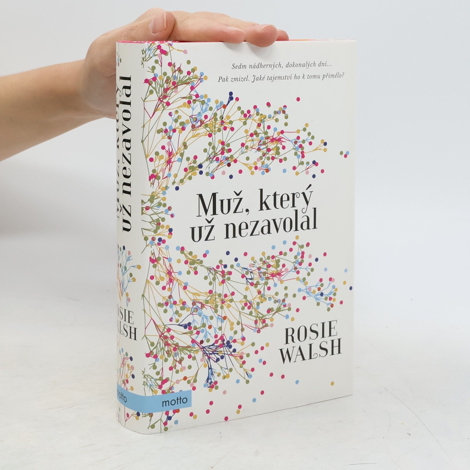Rosie Walsh Muž, který už nezavolal