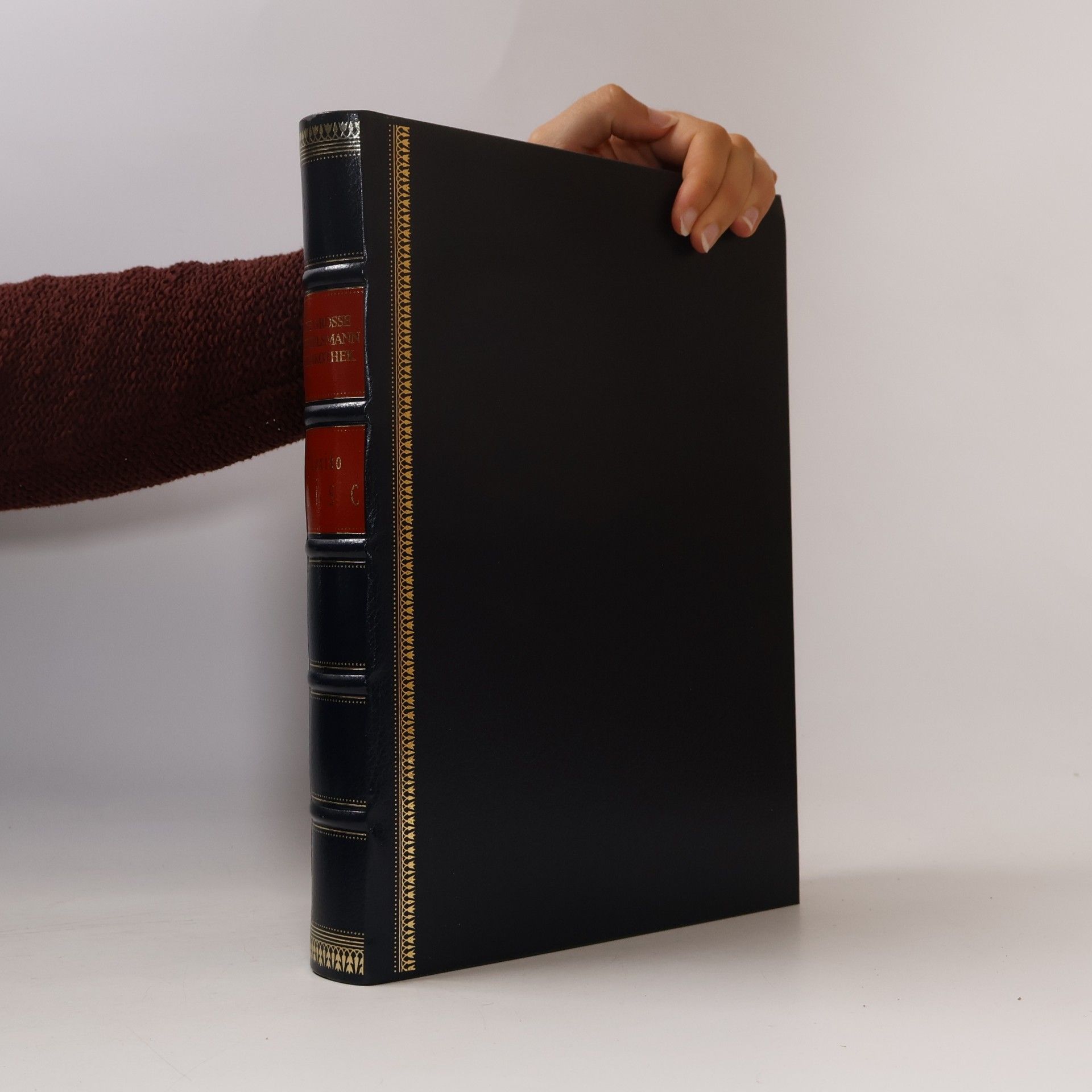 kolektiv Grosse Bertelsmann Bibliothek. Lexiko disc
