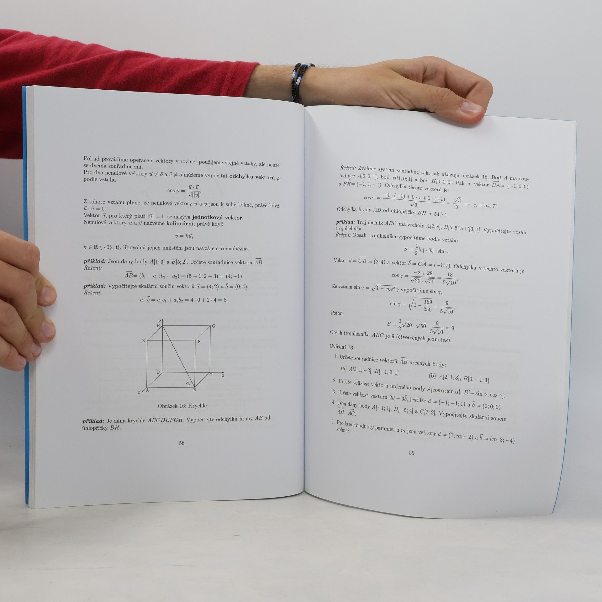 Eva Jonášová Matematika III