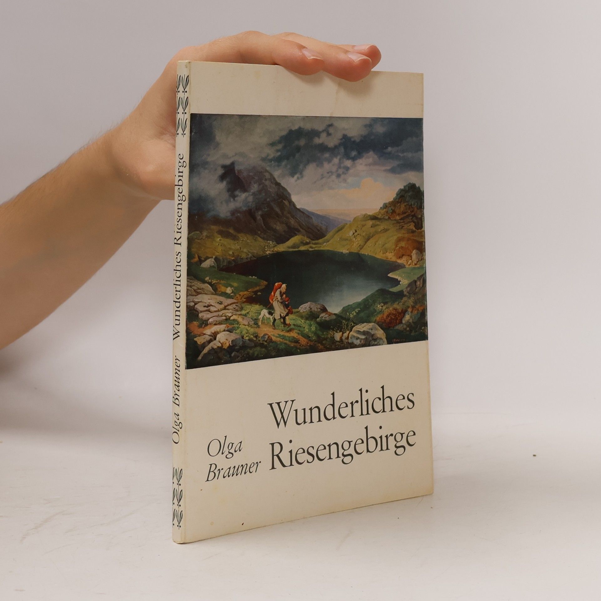Olga Brauner Wunderliches Riesengebirge