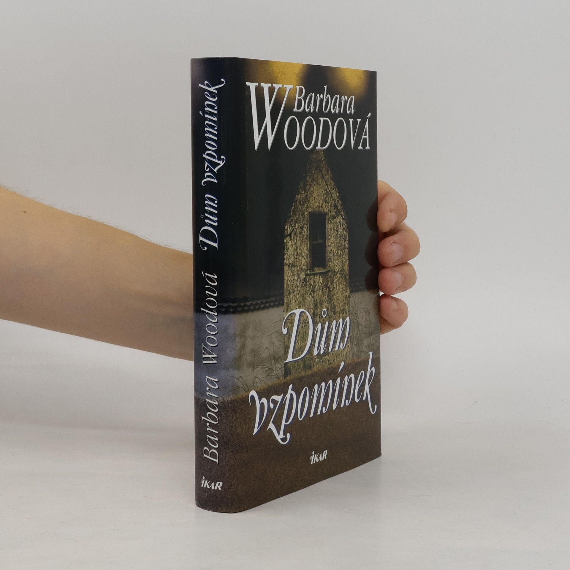 Barbara Wood Dům vzpomínek