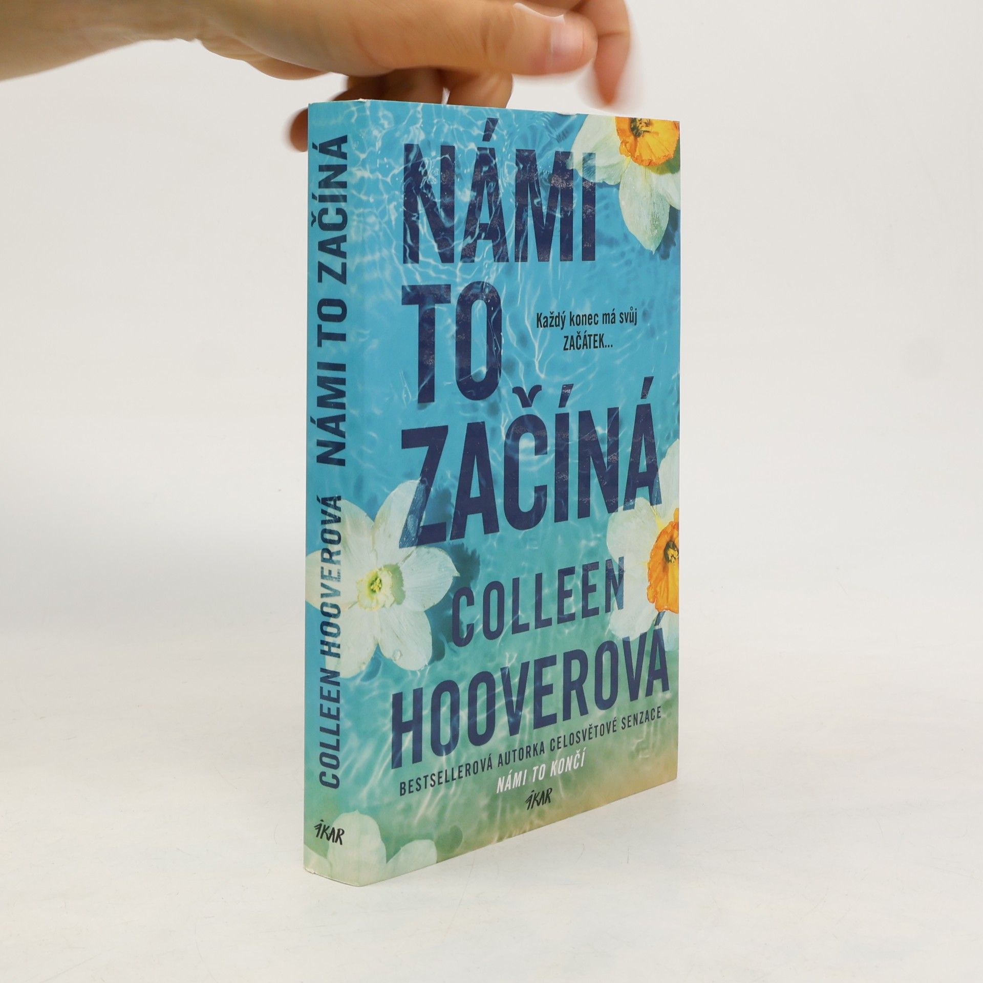 Colleen Hoover Námi to začíná
