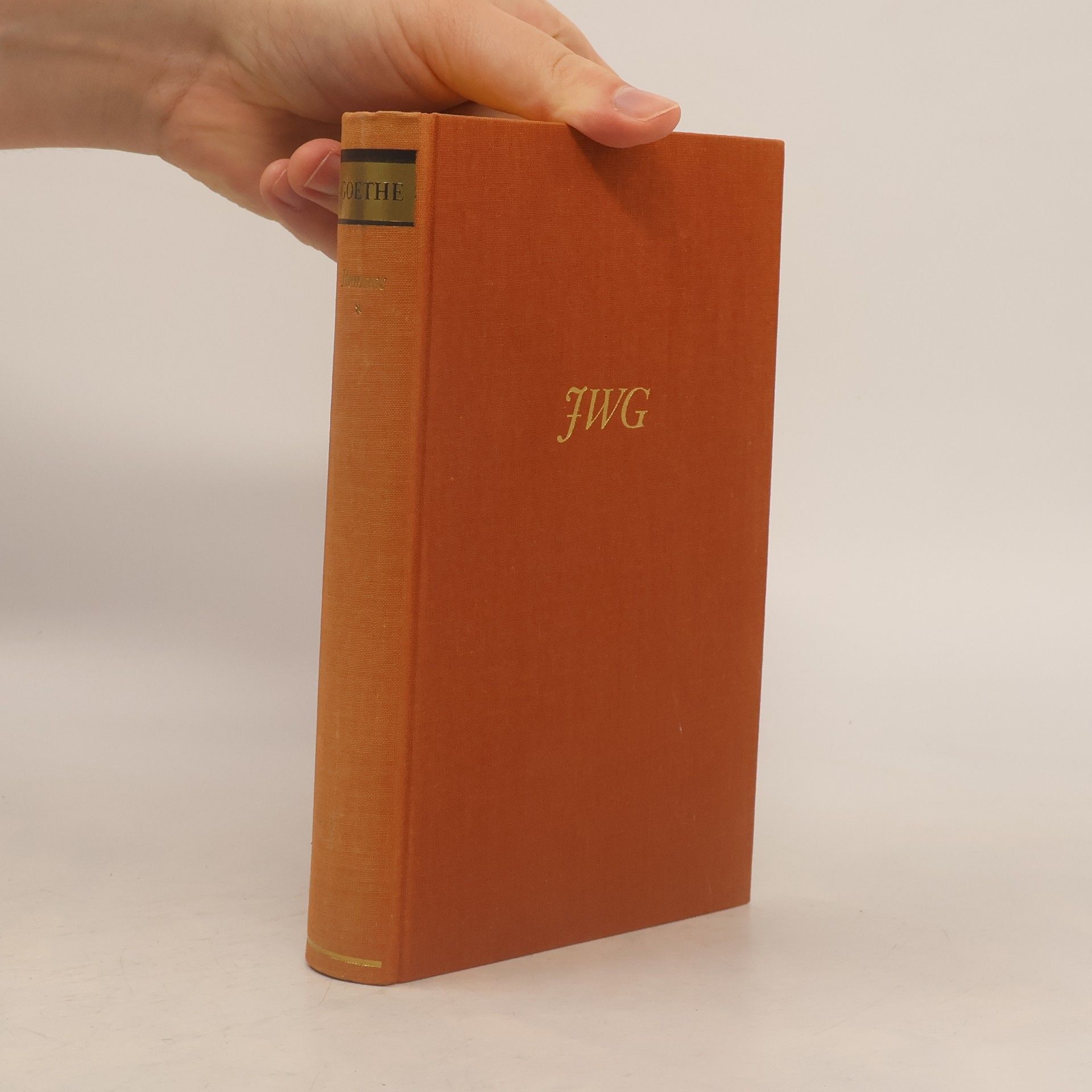 Johann Wolfgang von Goethe Romane 4