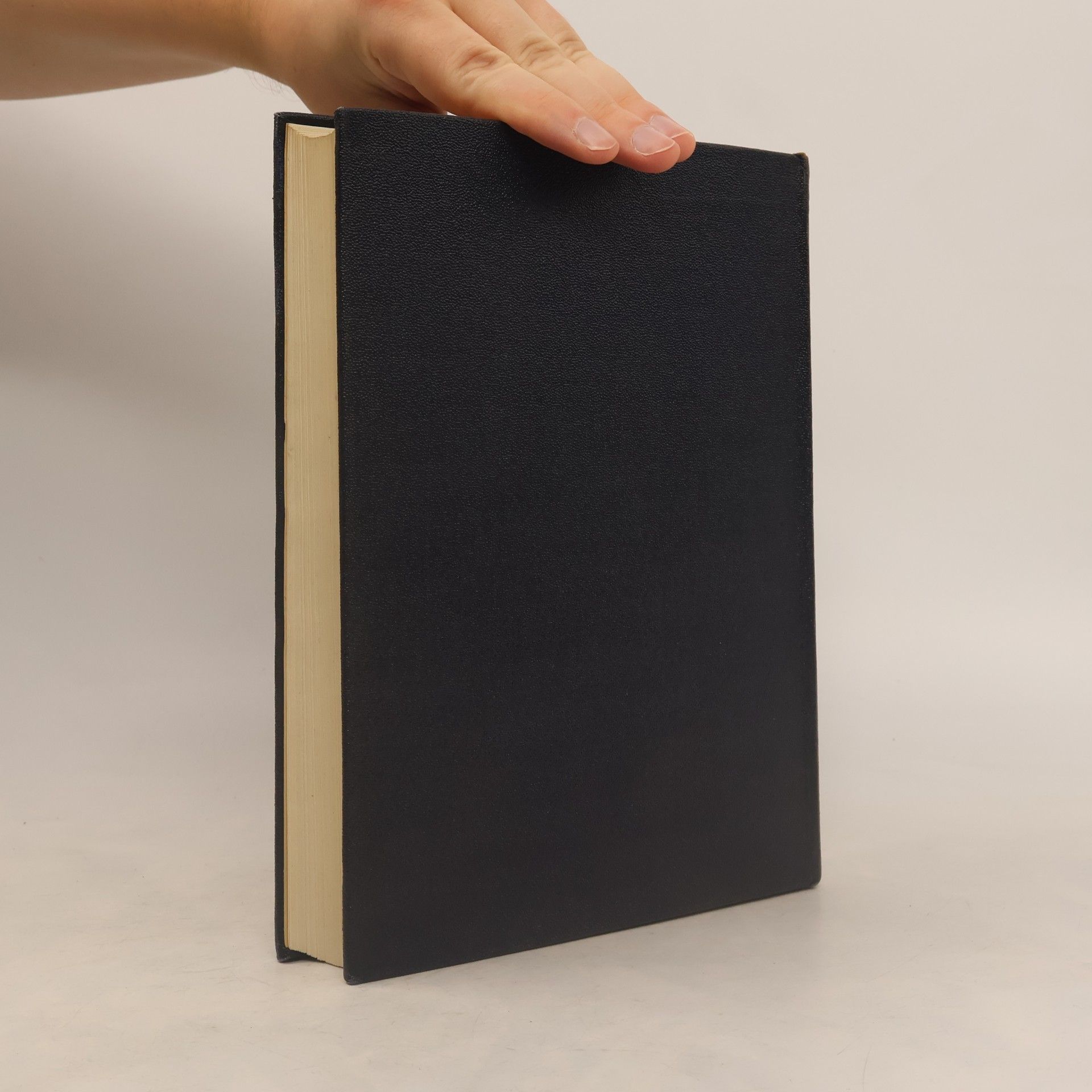 Walter Hutchinson Pictorial History of the War Vol. II
