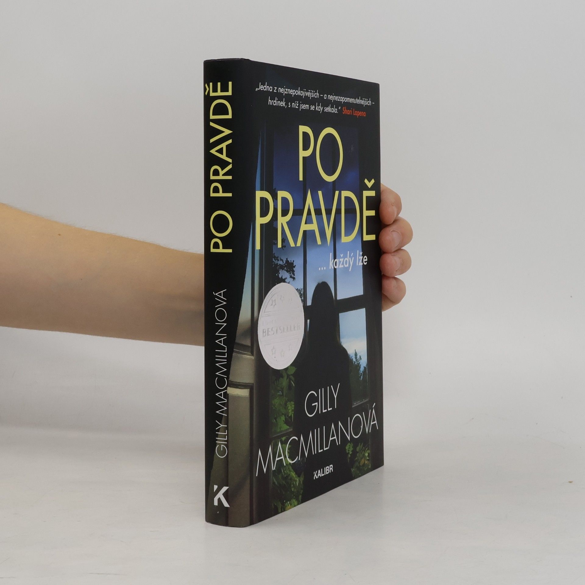 Gilly Macmillan Po pravdě ...každý lže
