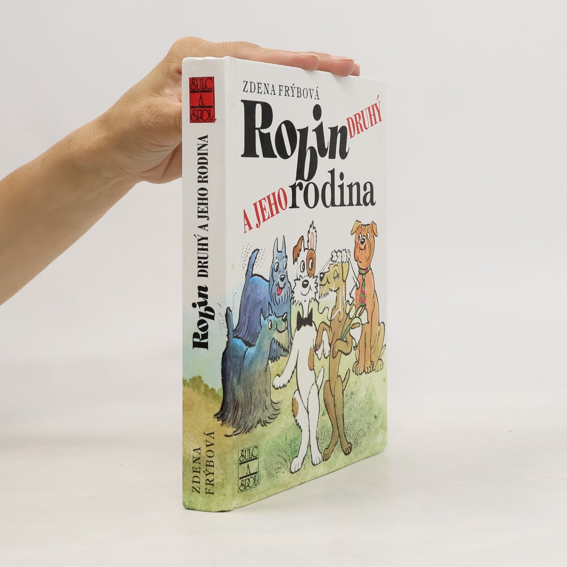 Robin Druhý a jeho rodina