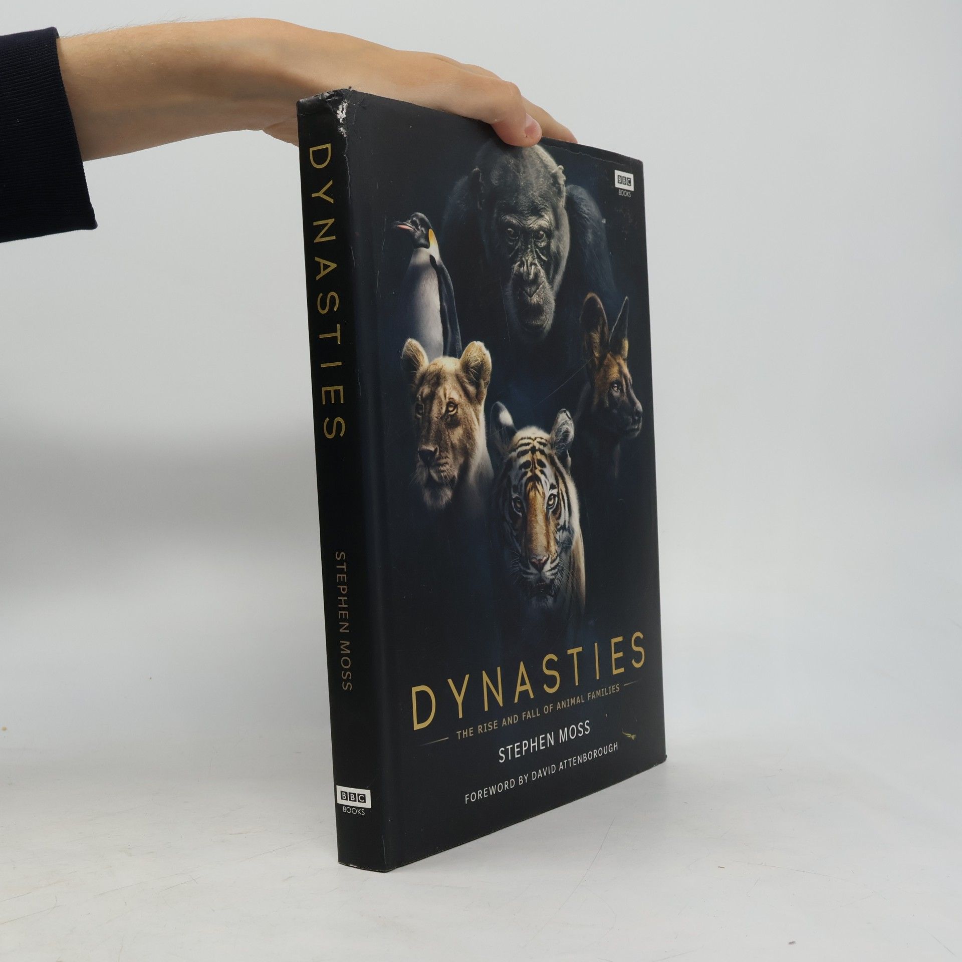 Mike Gunton Dynasties