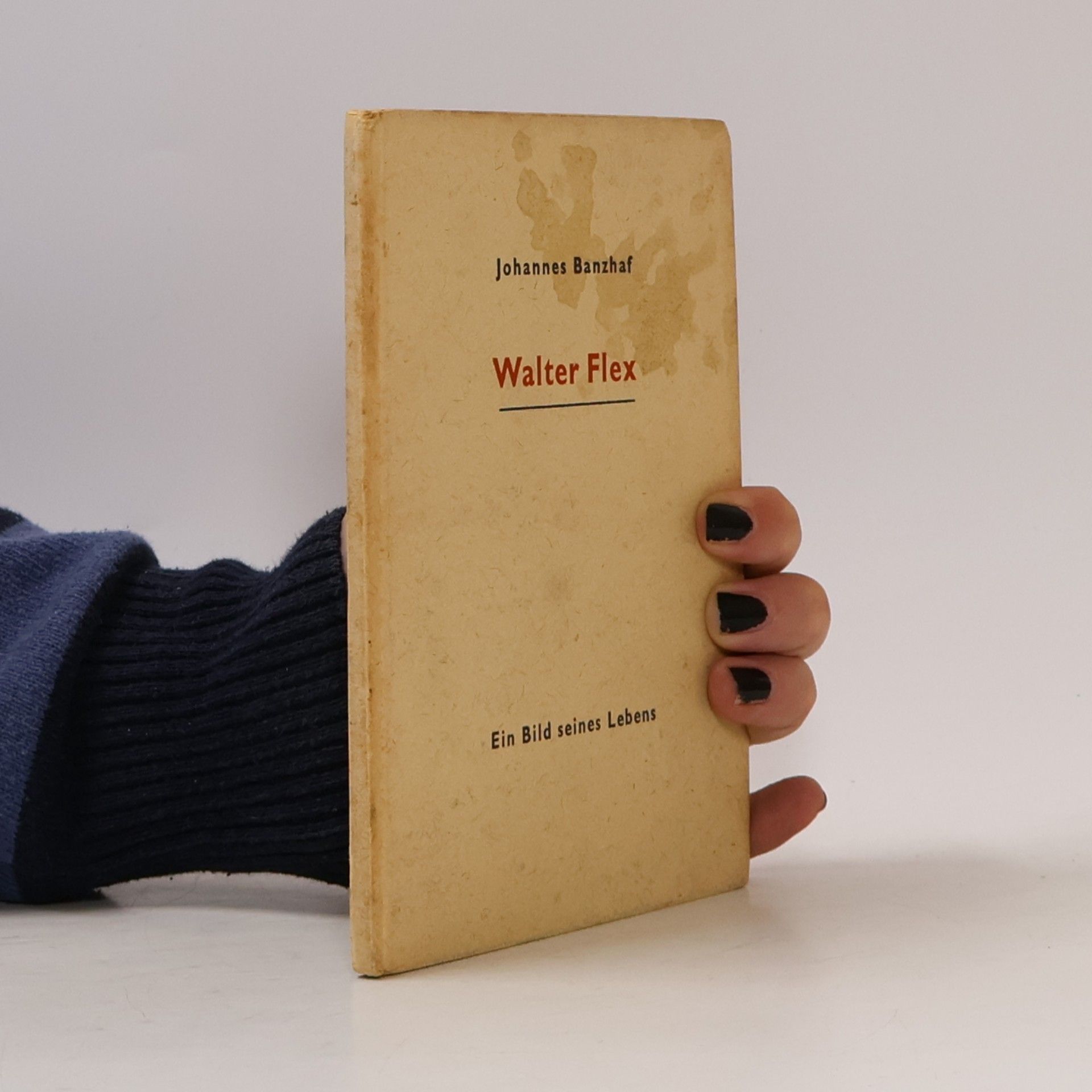 Johannes Banzhaf Walter Flex. Ein Bild seines Lebens