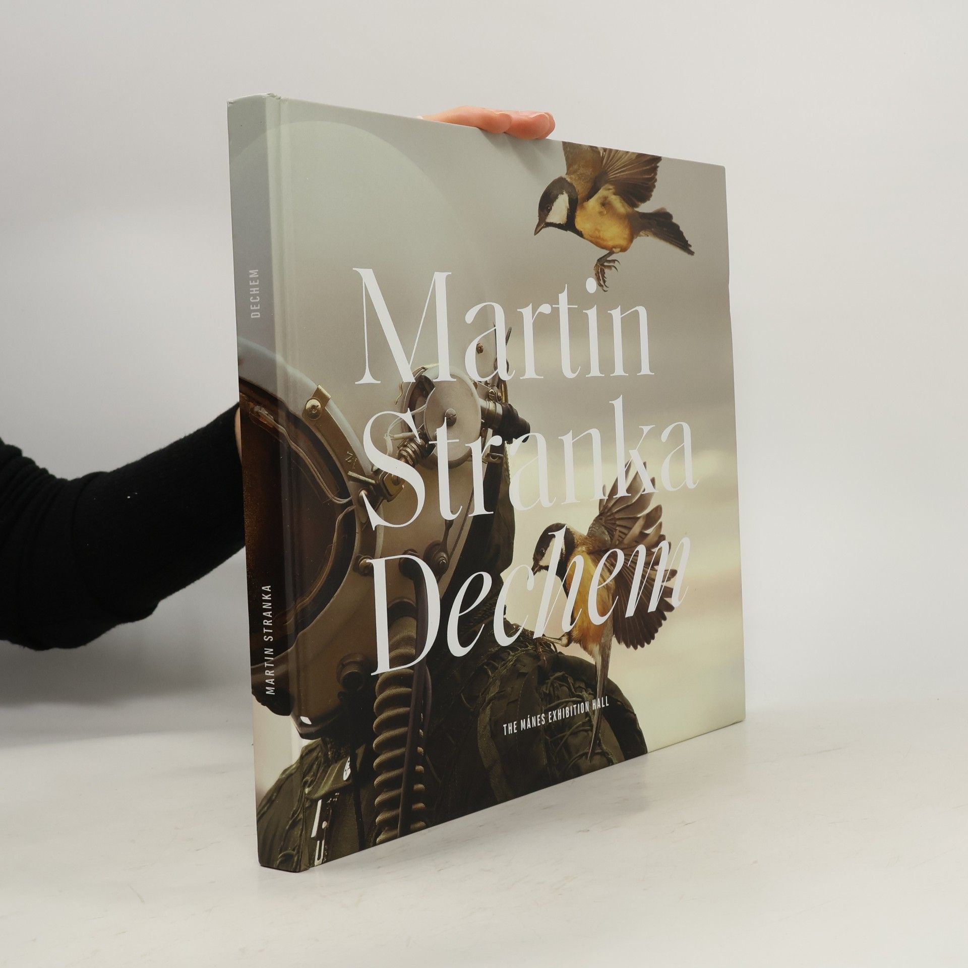 Martin Straka Dechem