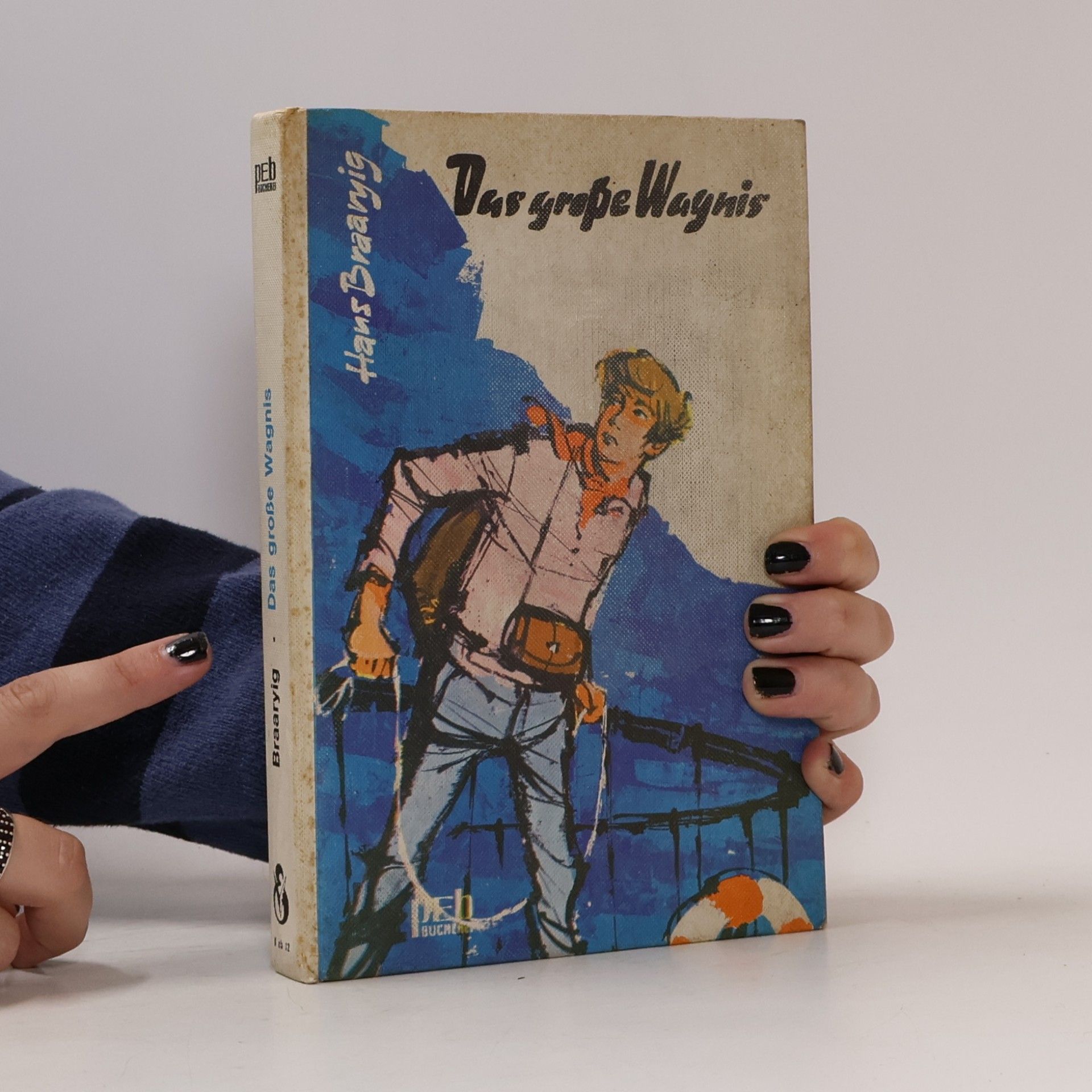 Hans Braaryig Das große Wagnis