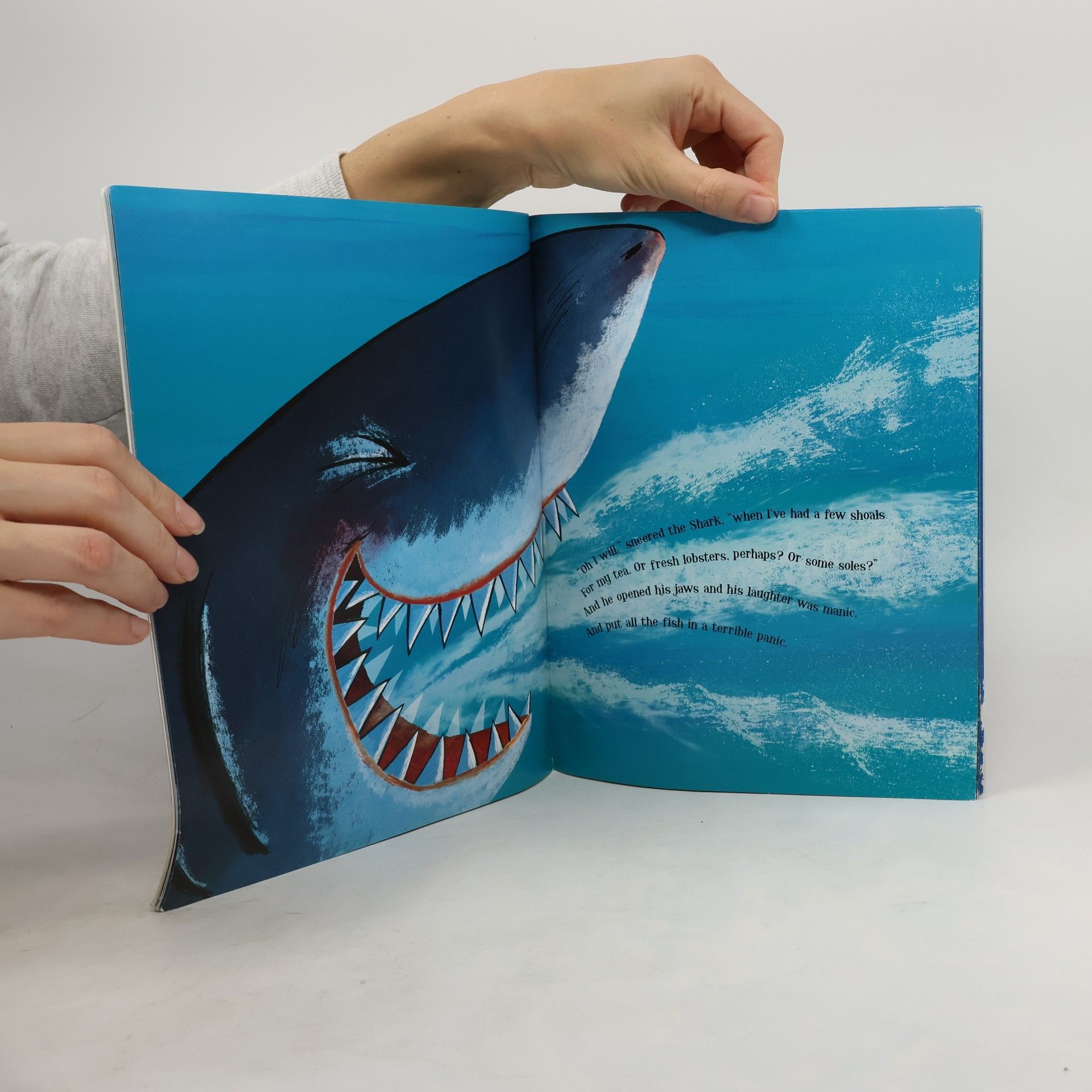 Peter Bently The Shark in the Dark