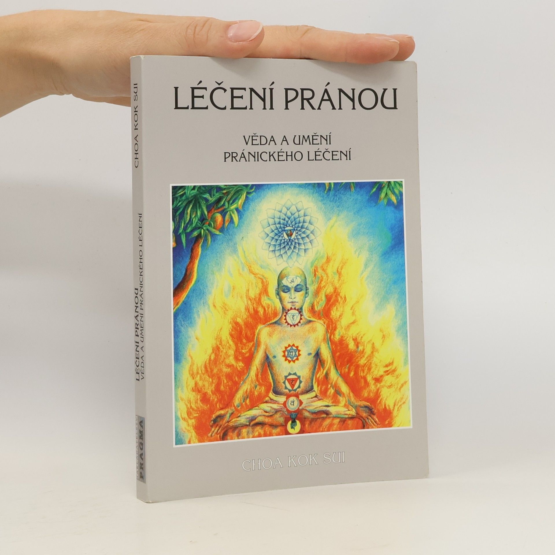 Choa Kok Sui Léčení pránou: Věda a umění pránického léčení