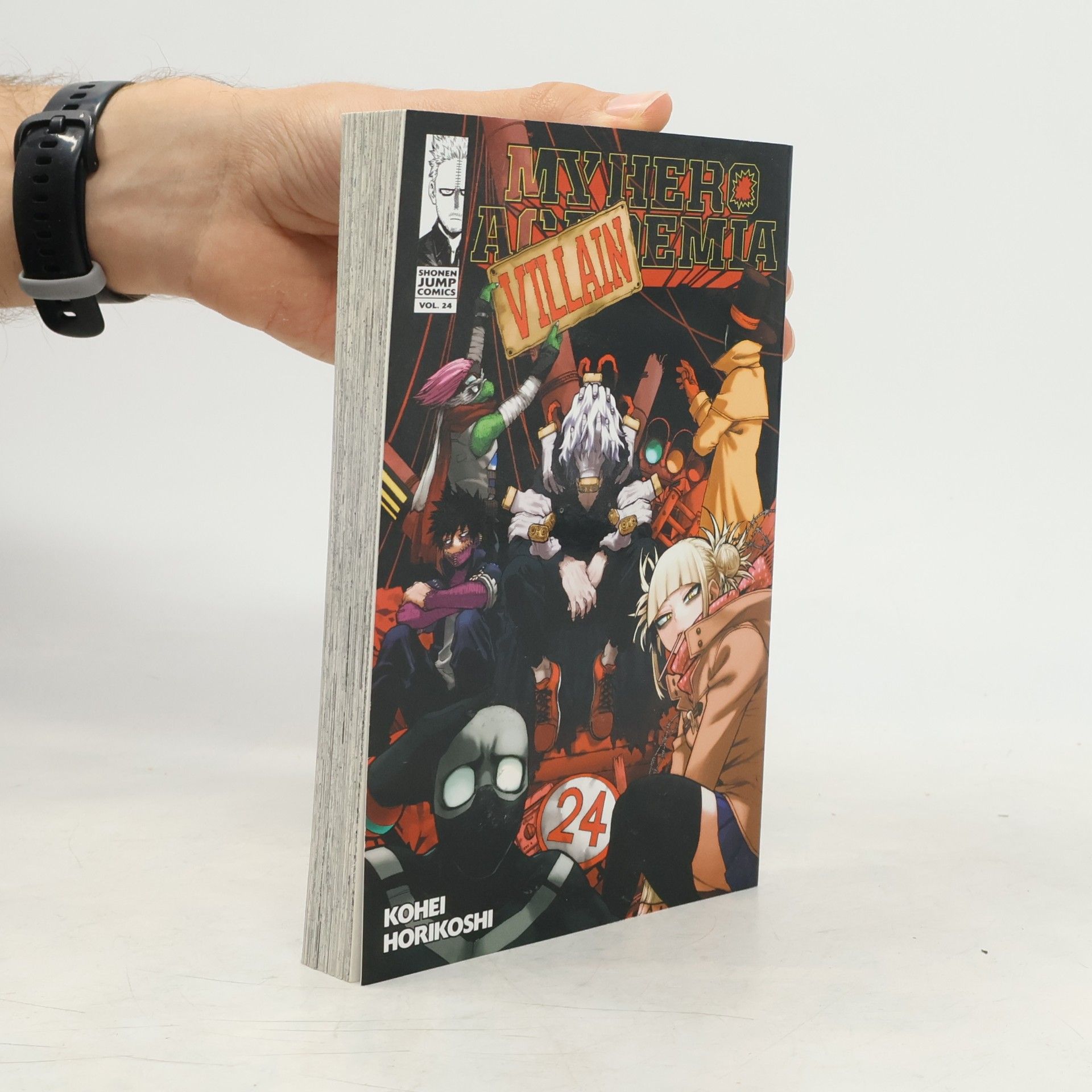 My Hero Academia 24
