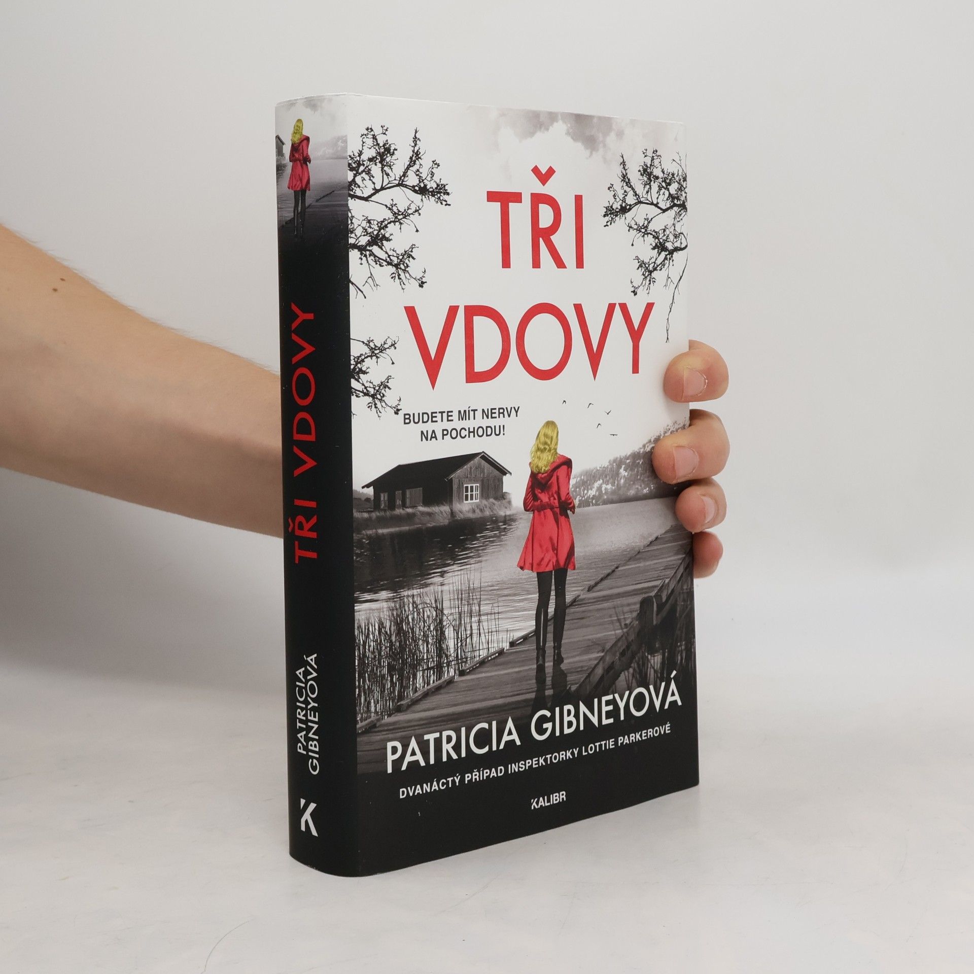 Patricia Gibney Tři vdovy