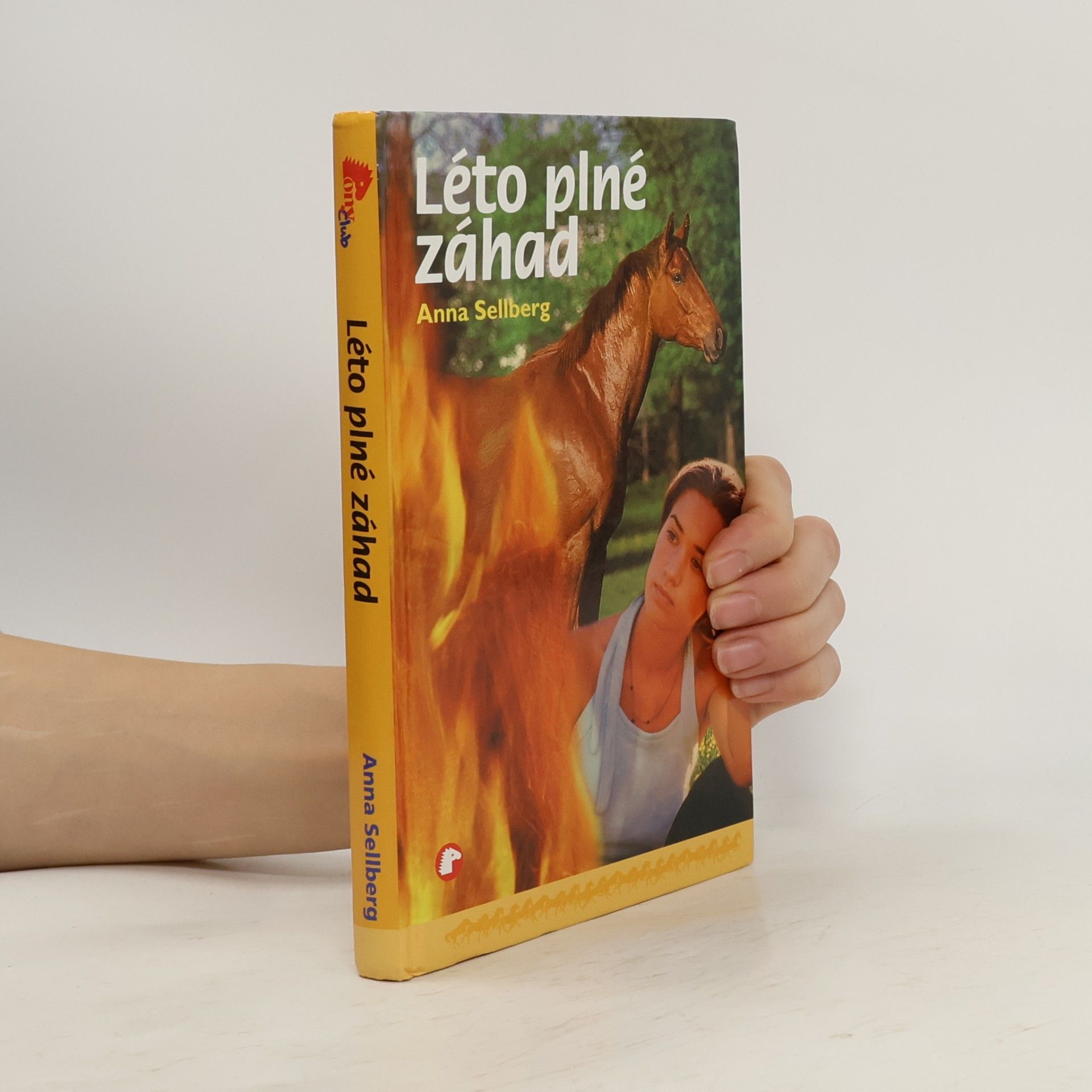 Anna Sellberg Léto plné záhad