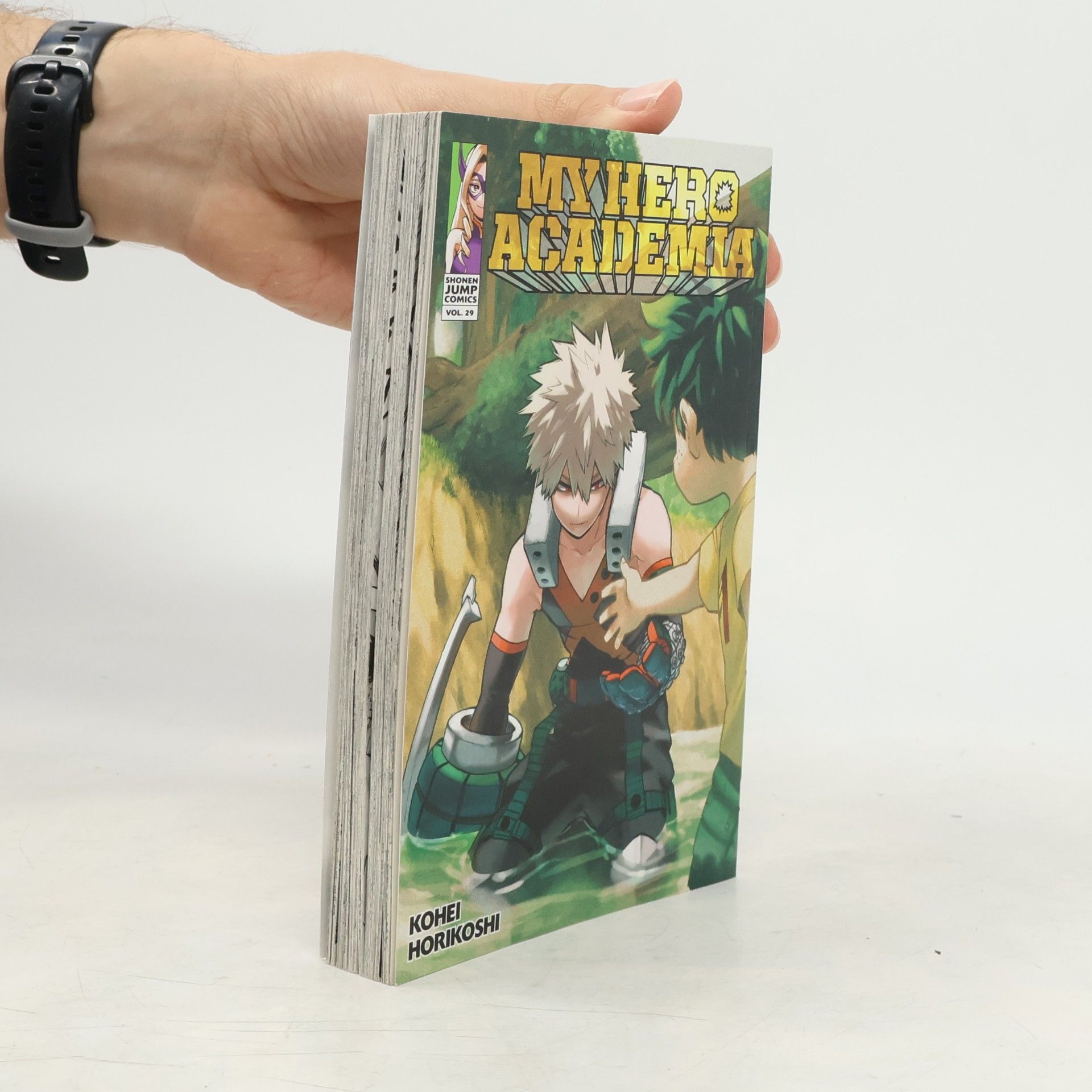 Kōhei Horikoshi My Hero Academia, Vol. 29