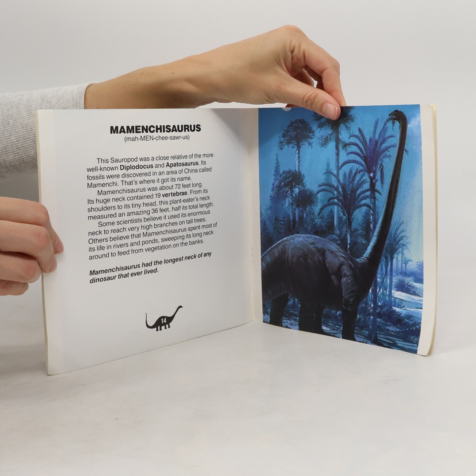 kolektiv Dinosaurs and Prehistoric Creatures