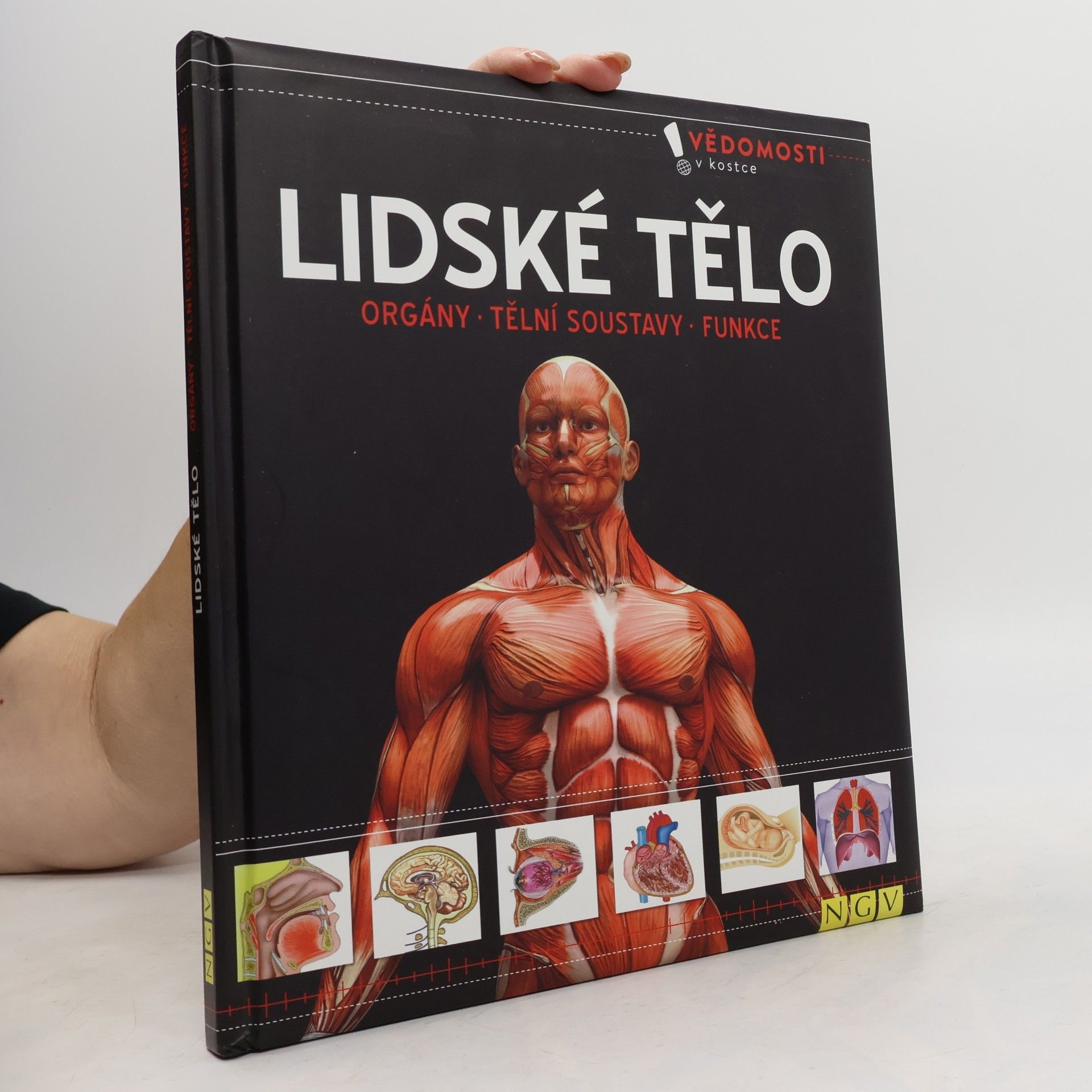 Kolektiv autorů Lidské tělo