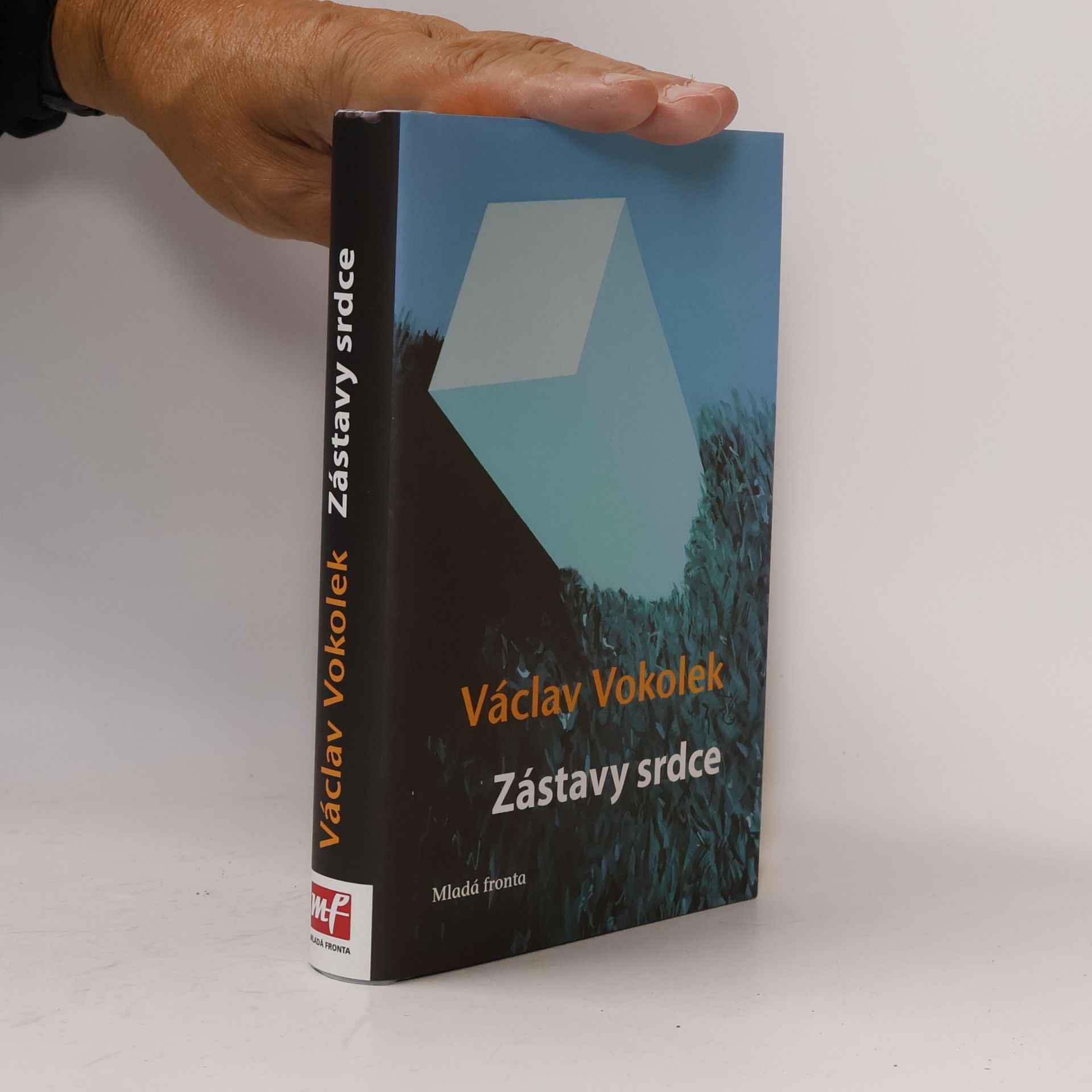 Zástavy srdce