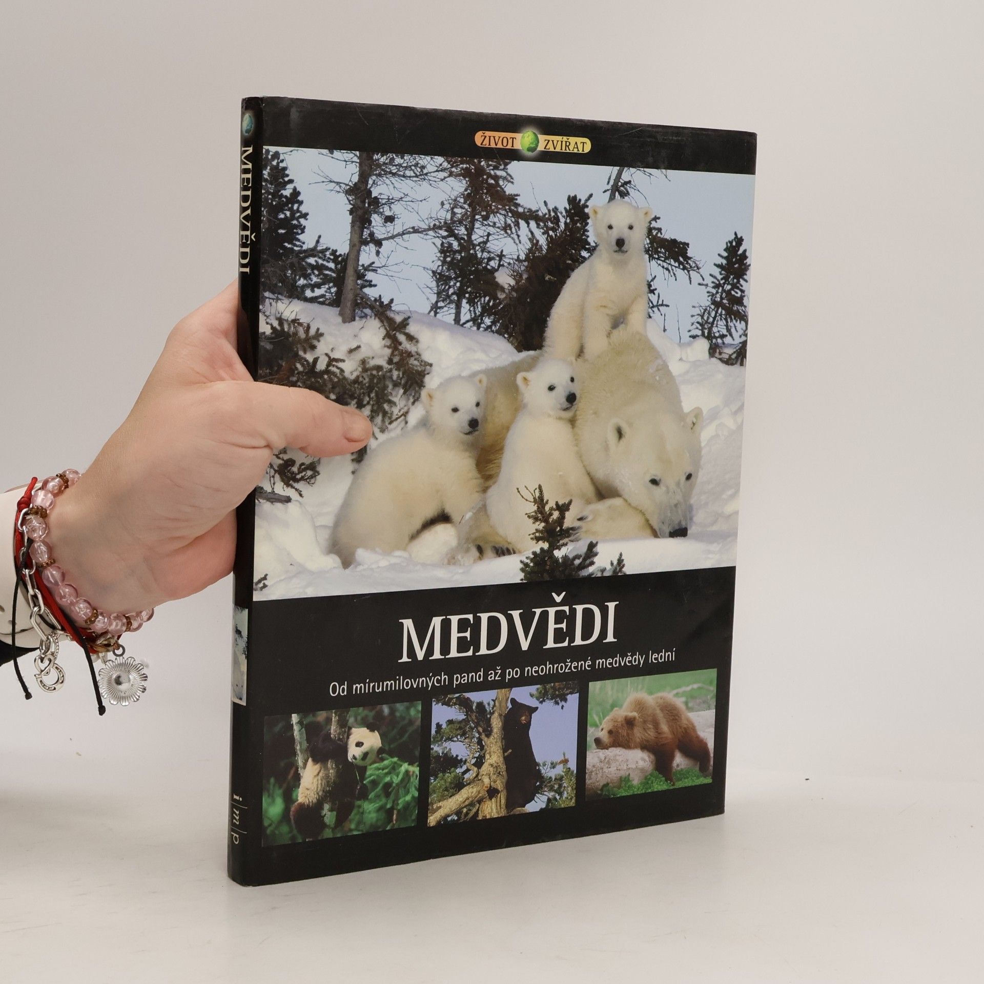 Hana Kendíková Medvědi