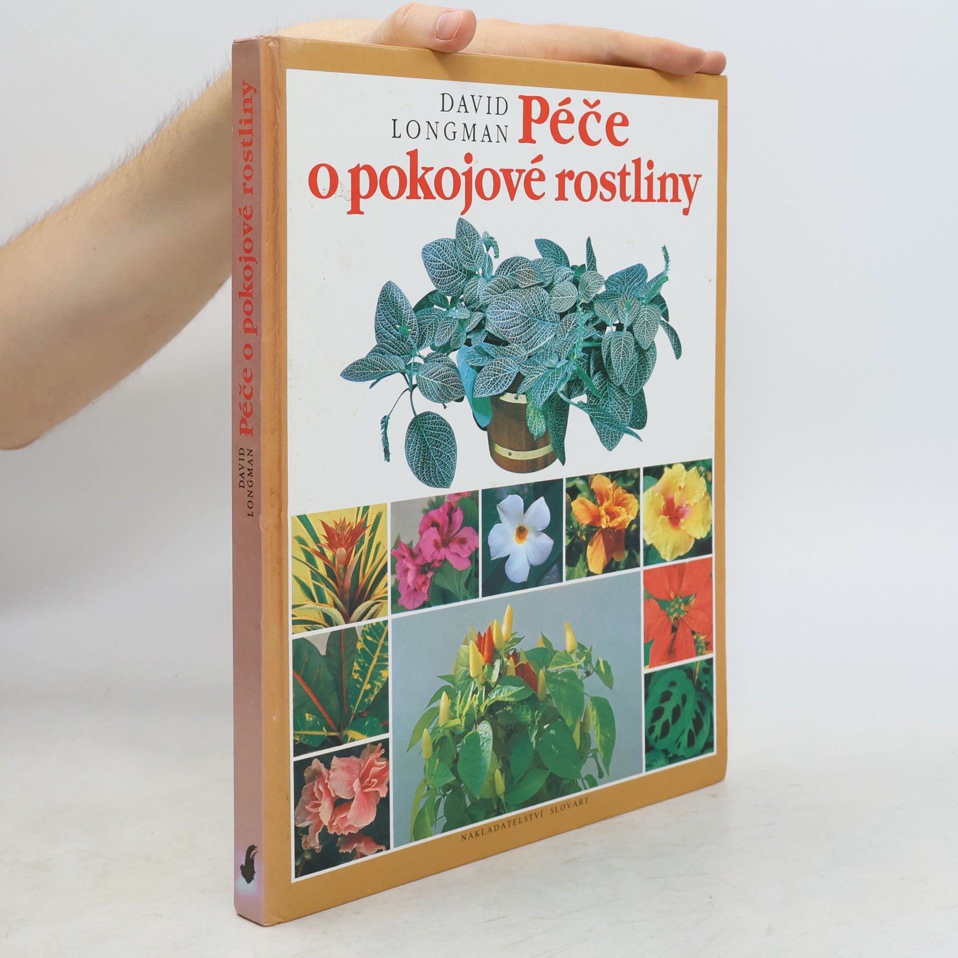 David Longman Péče o pokojové rostliny