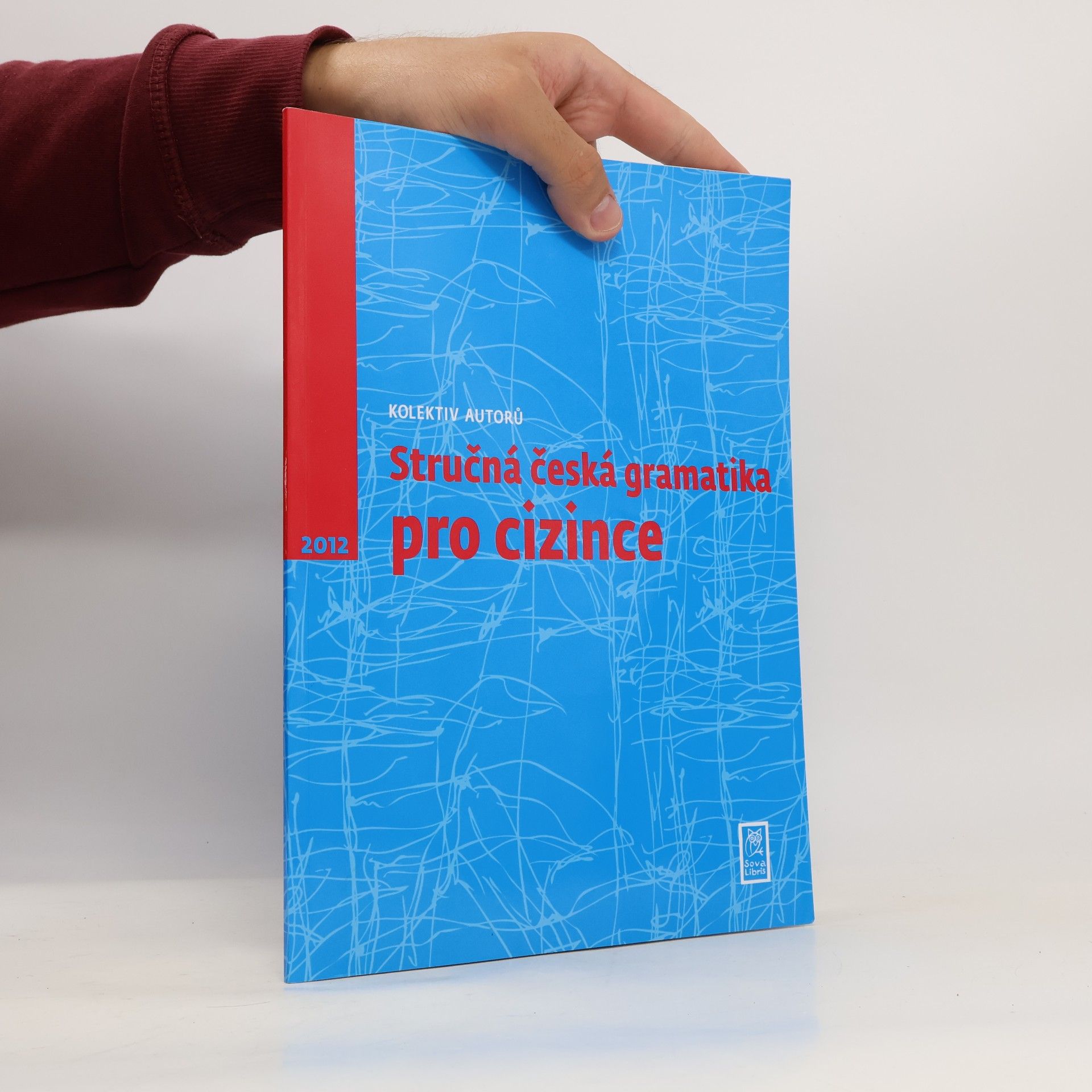 Anna Antošová Stručná česká gramatika pro cizince